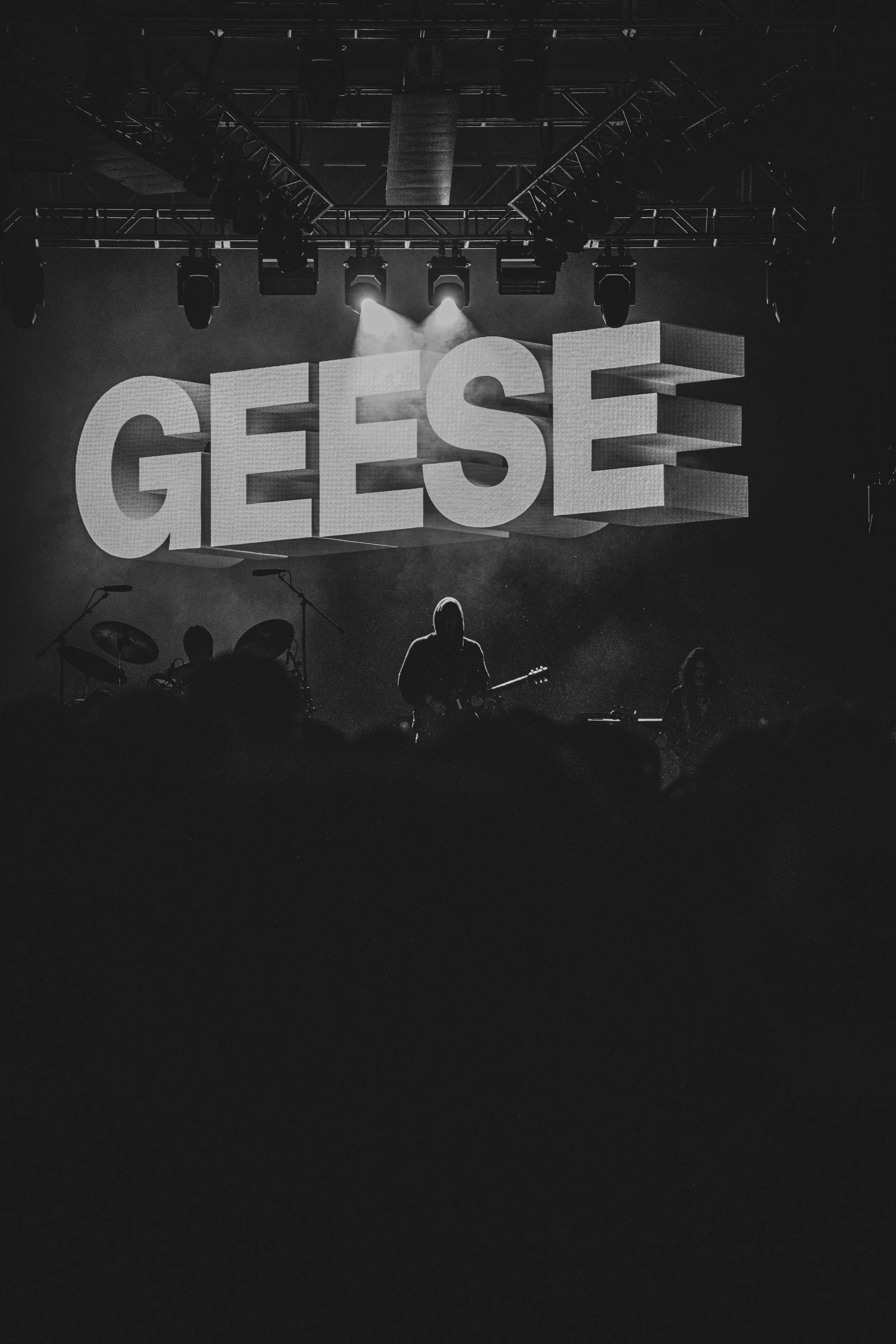 Aaron_Madigan_ayaymad_Geese_20260328-_18A4113.jpg