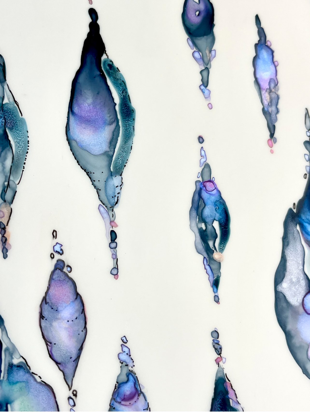 abalone raindrops.jpg