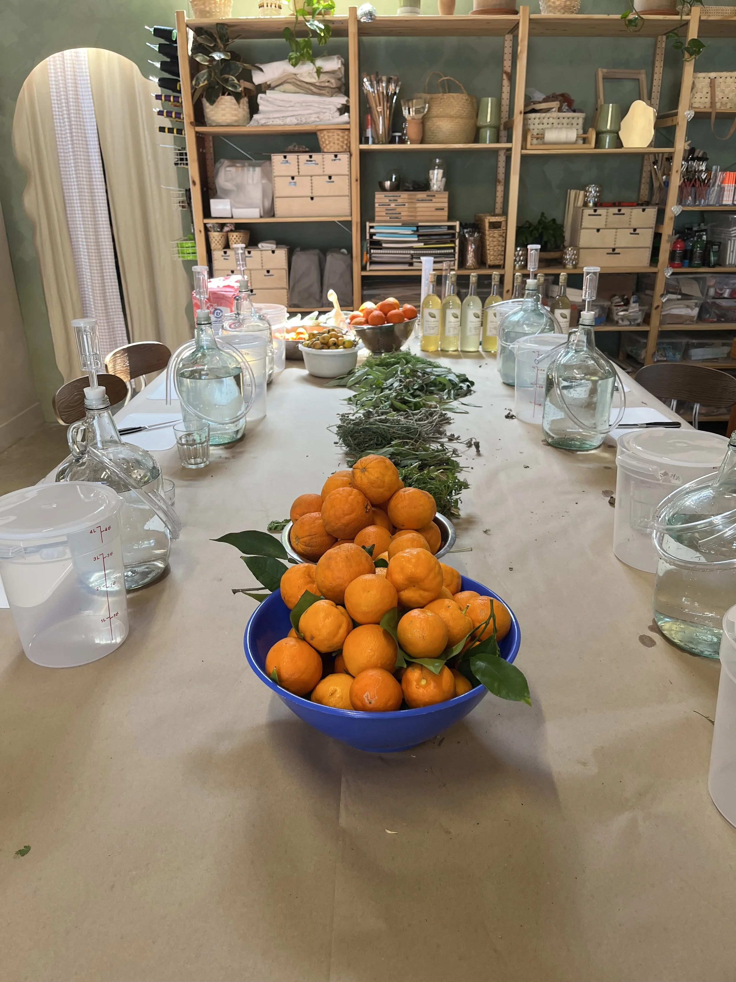 Janne Larsen IMG_6615.jpeg