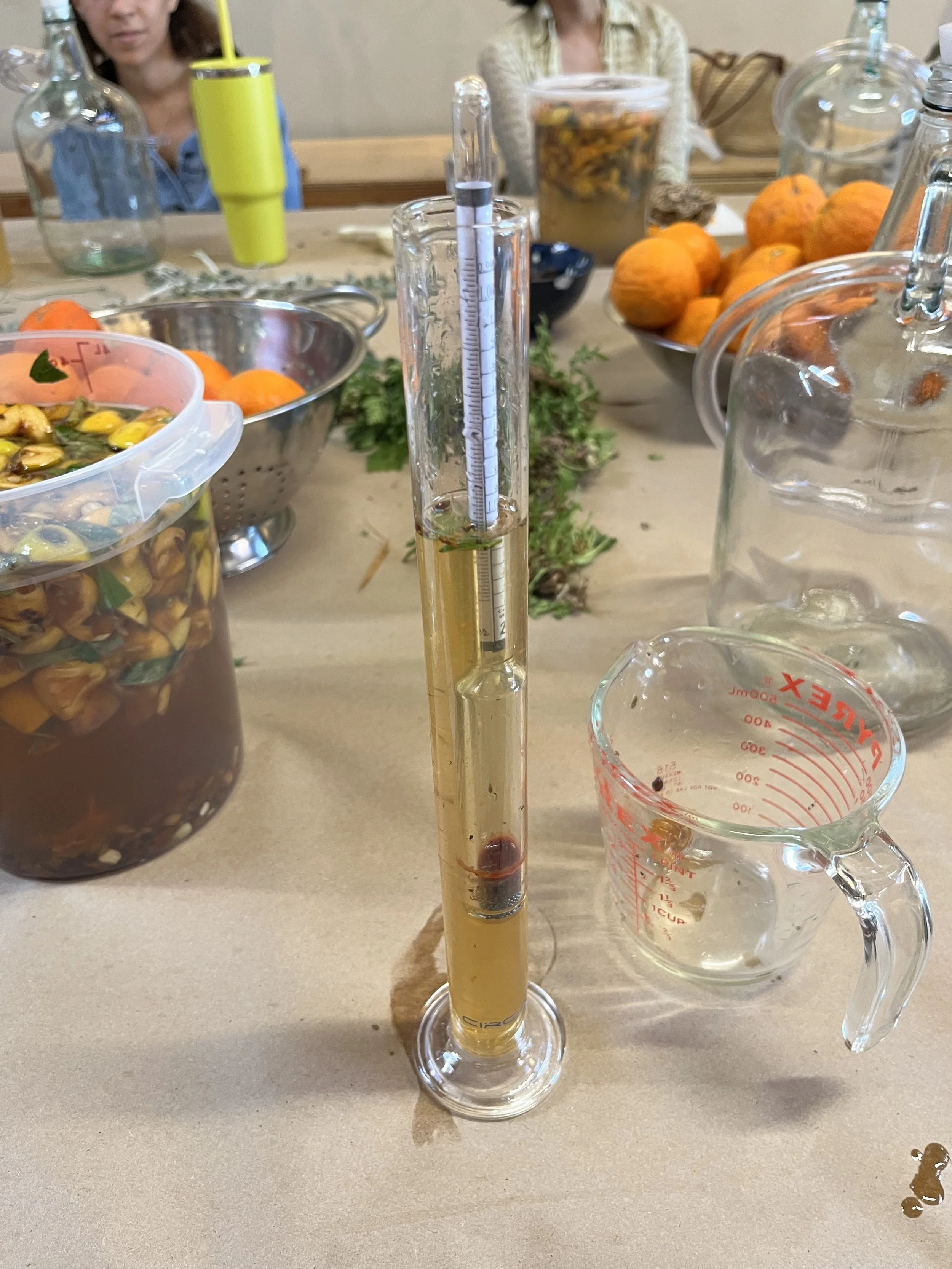 Janne Larsen IMG_6618.jpeg