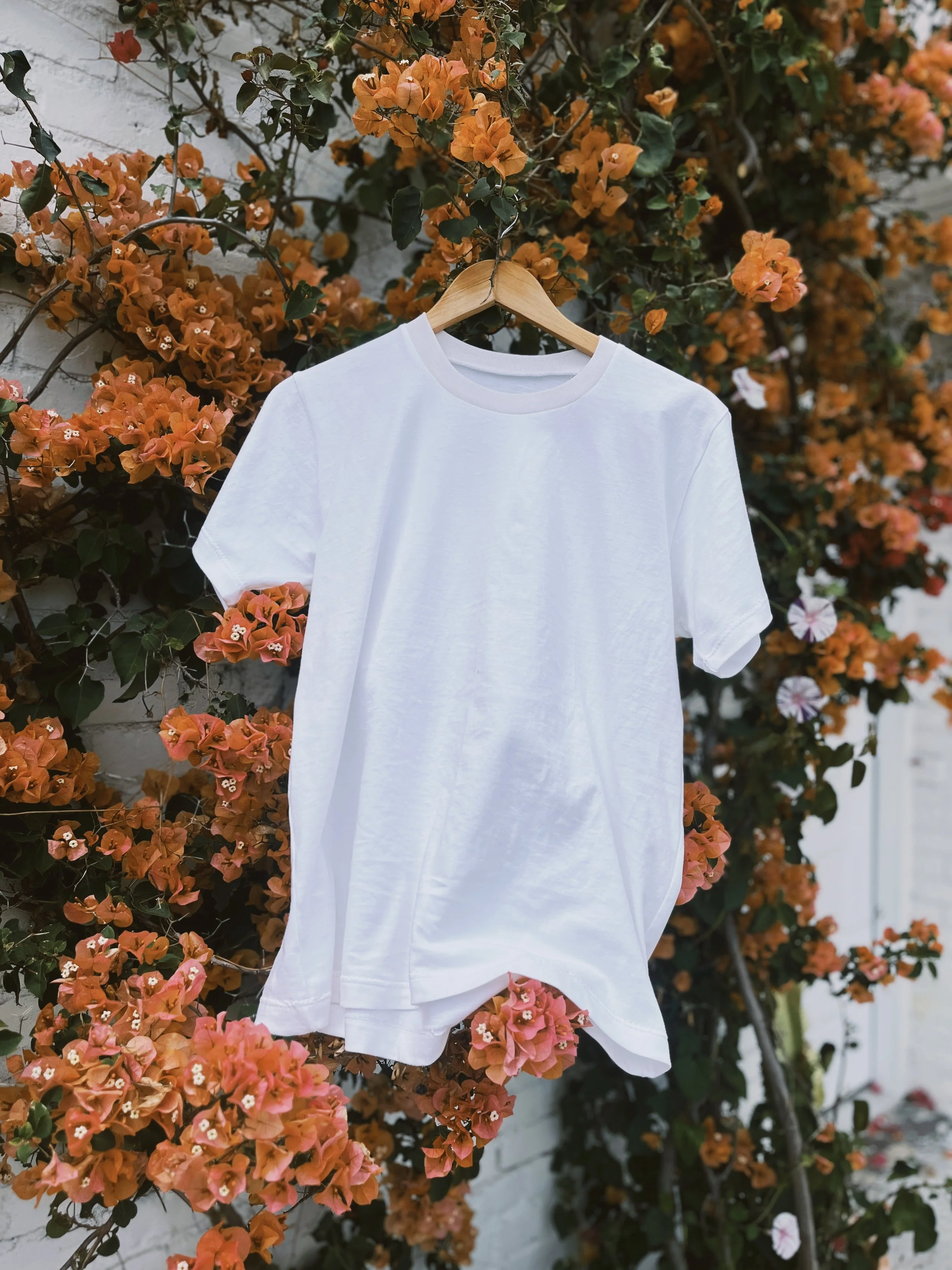 Sewing Level II: Sew a Tee Shirt