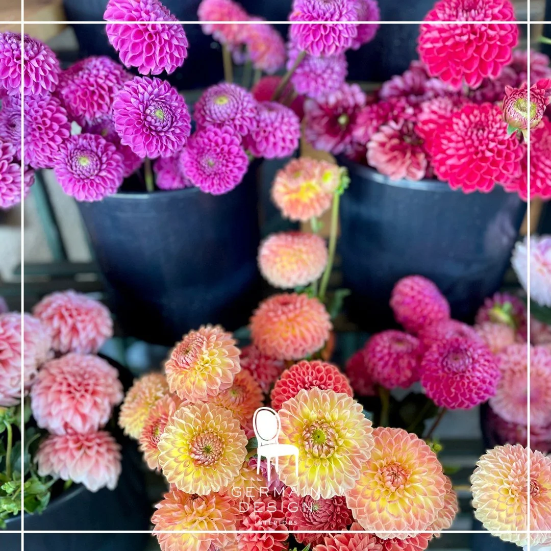 In August, we&rsquo;re thinking State Fair - not back-to-school just yet! These gorgeous late summer dahlias are the perfect palette: saturated pinks, soft peach, coral and deep plum. Bring those shades into your entry with fresh flowers, a pillow or