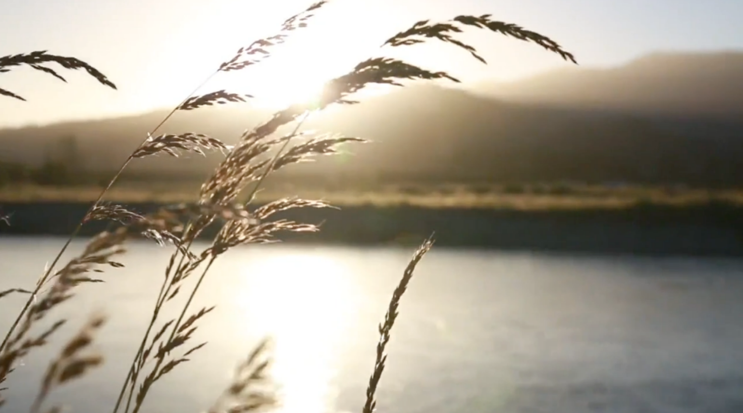Kairos Counseling Services