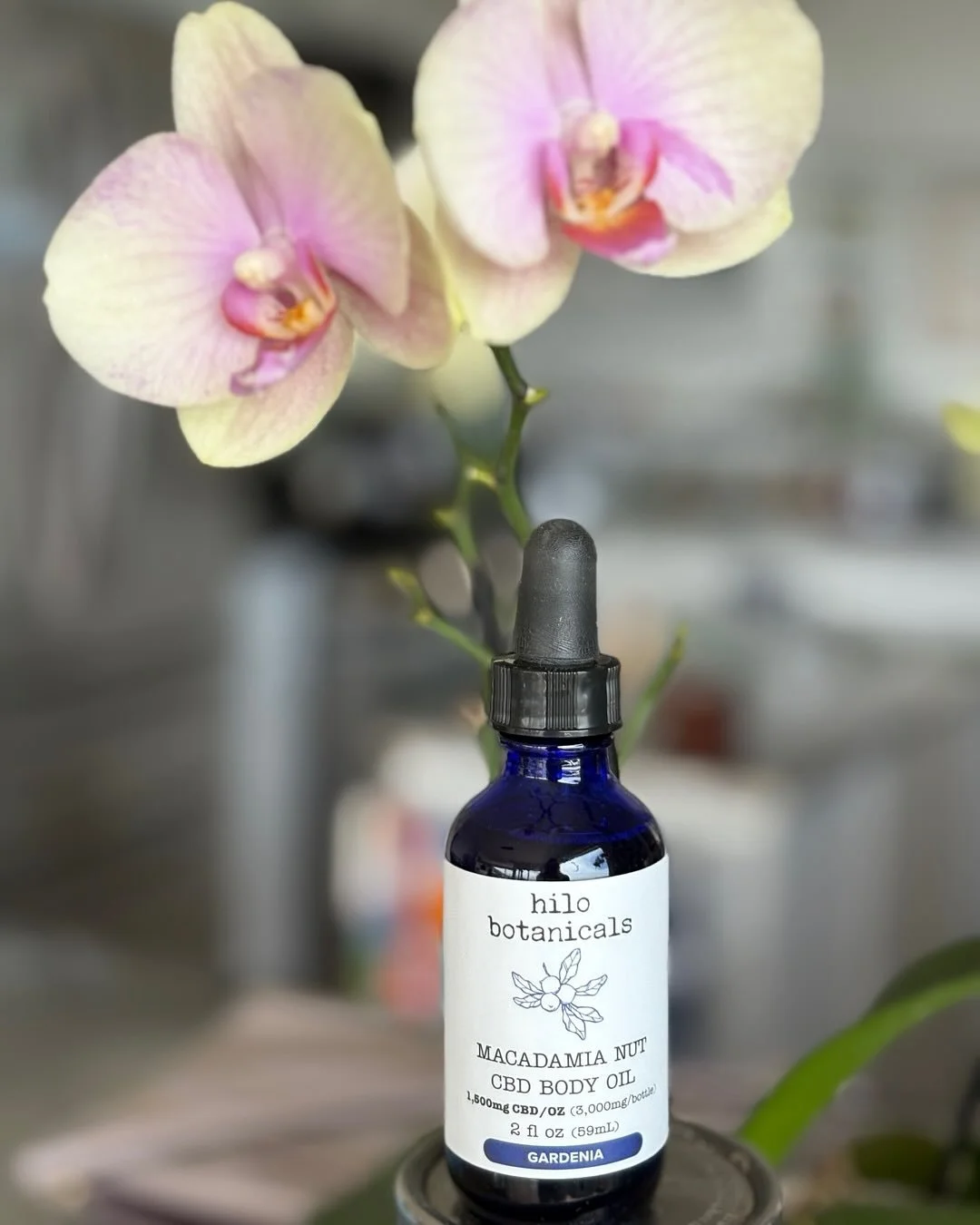 Check out this CBD Body oil available today at the Sausalito Farmers Market in Dunphy Park. I opted for the Gardenia scent. This Hawaiian product is clean and feels amazing! #oilforskin #skin #macadamianut #hilo #sausalito #farmersmarket @hilobotanic