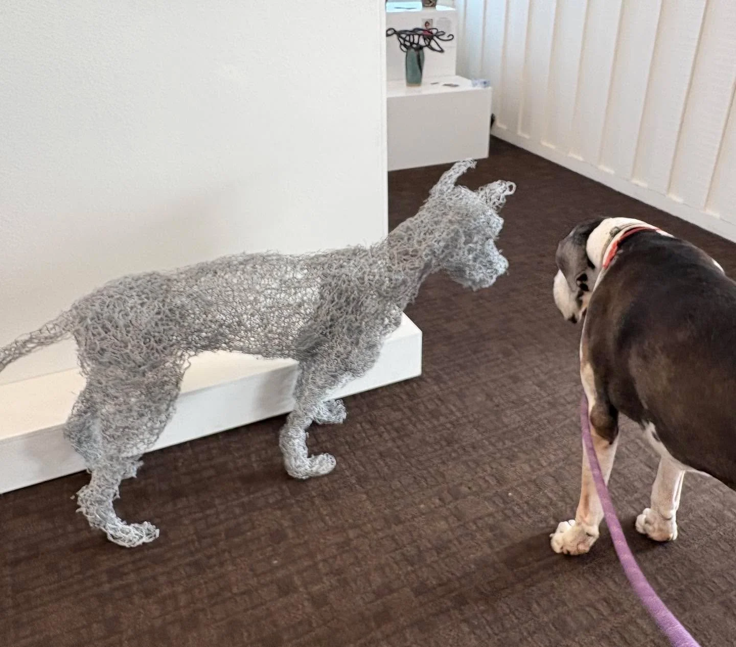 I encourage you to visit the Sausalito Center for the Arts. They have an incredible show! Arts and crafts. Here is Farley checking out one of the pieces of art! #sausalitocenterforthearts #sca #artsandcrafts@sausalitocenterofthearts