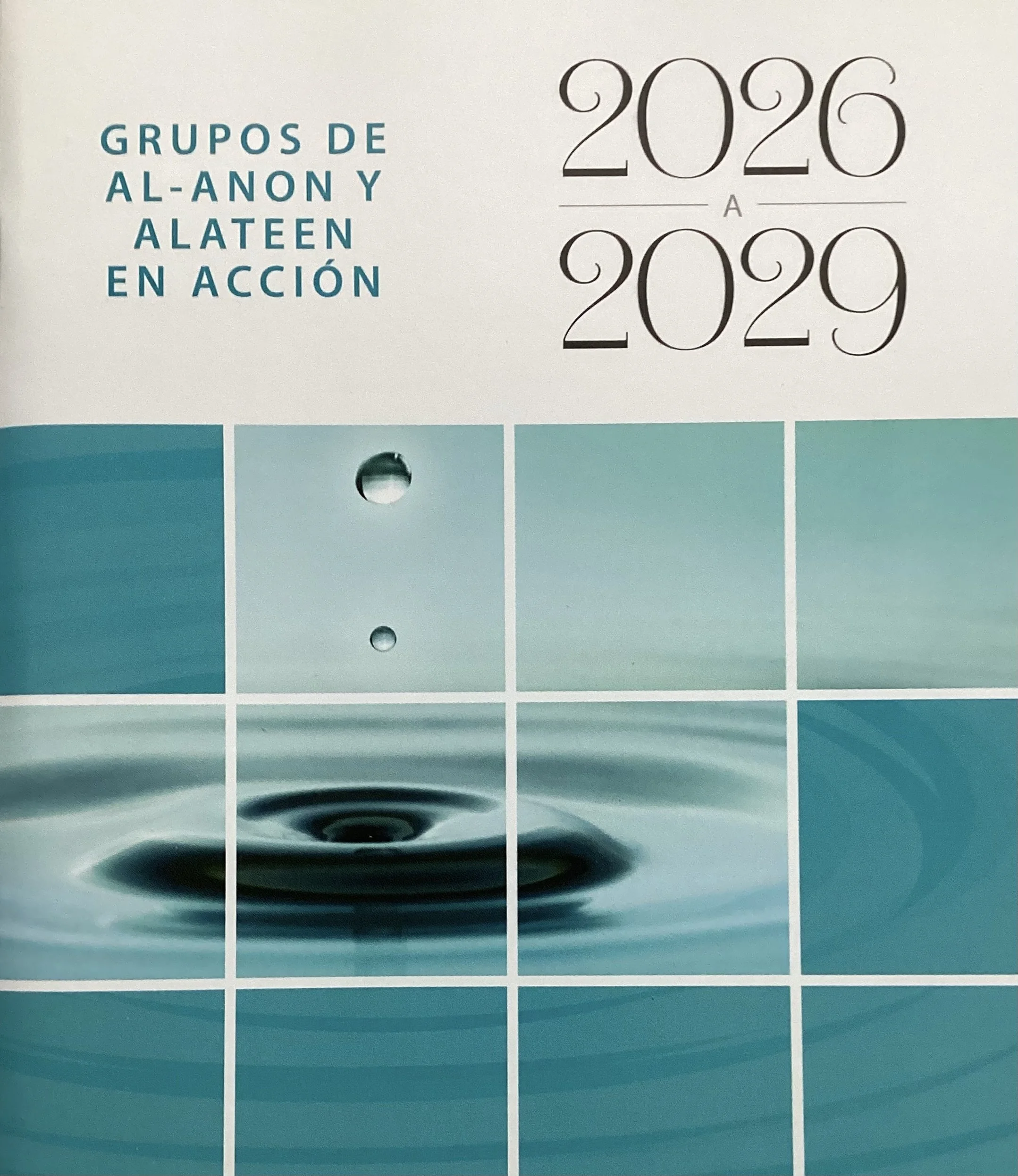 (SP-24) Grupos de Al-Anon y Alateen en acción