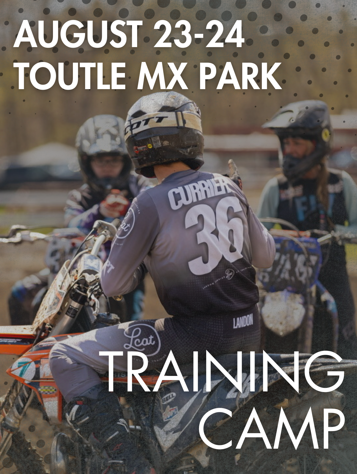 TOUTLE.png
