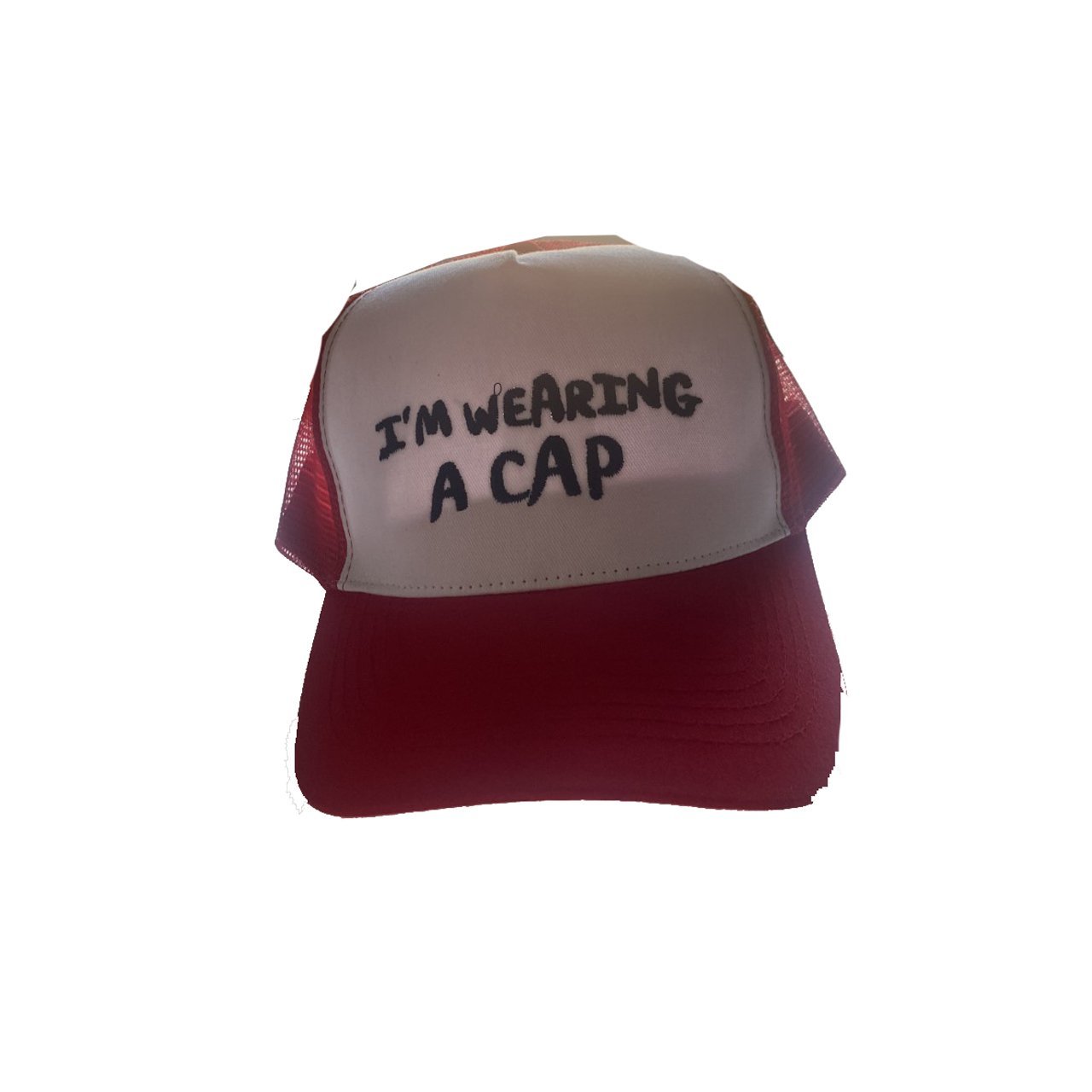 wearing+a+cap2.jpg