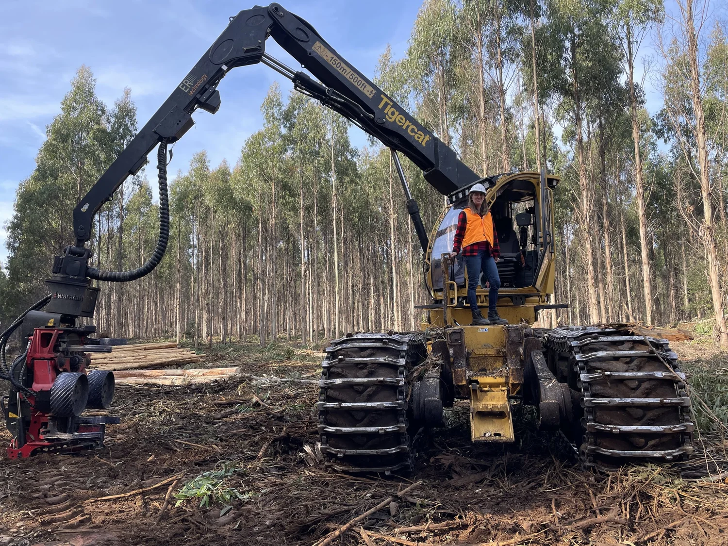 Best Countries for Offshore Trusts: Asset Protection Around The World