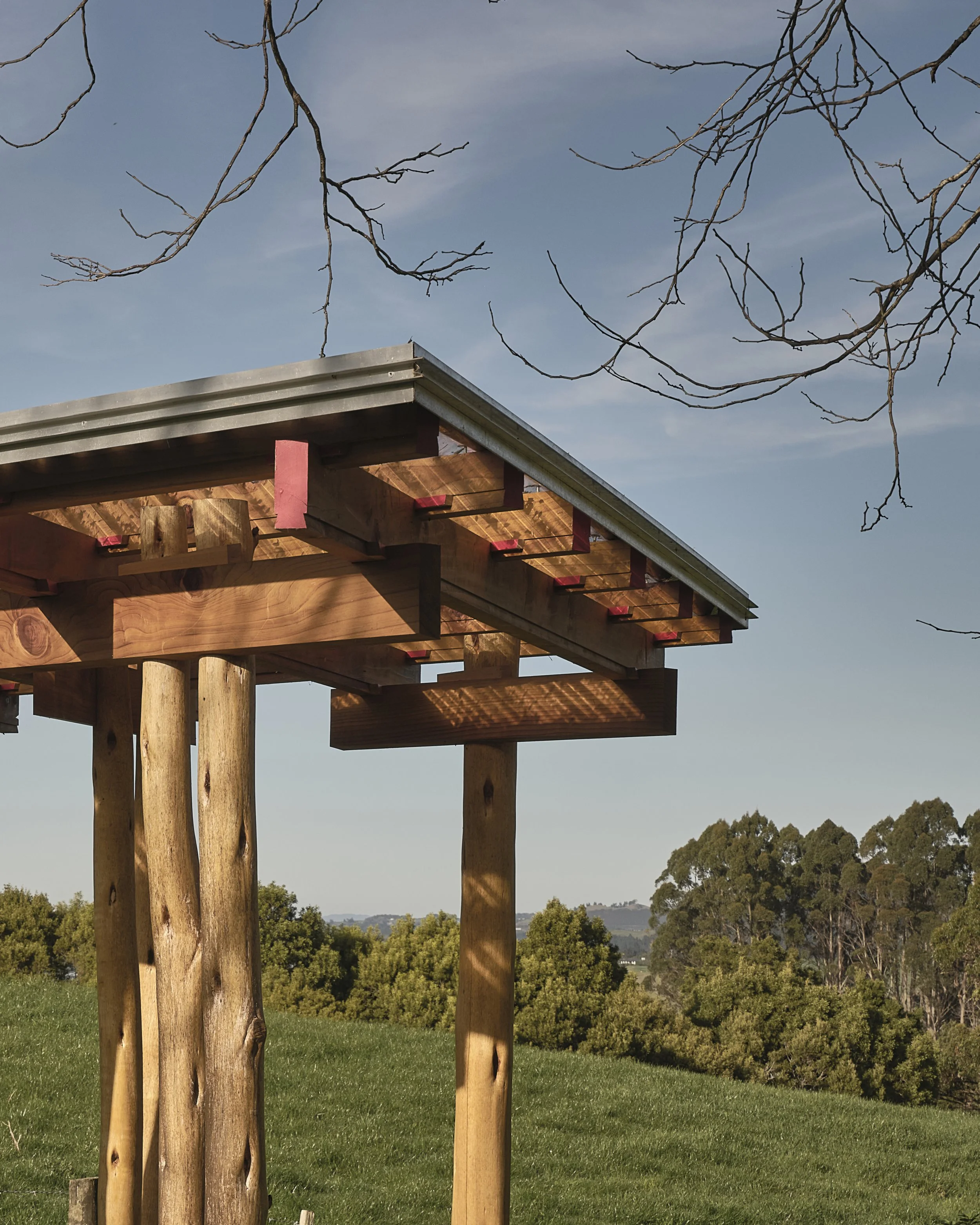 Advancing Timber Innovation in Aotearoa: The Impact of WIDE Trust’s 2024 Support