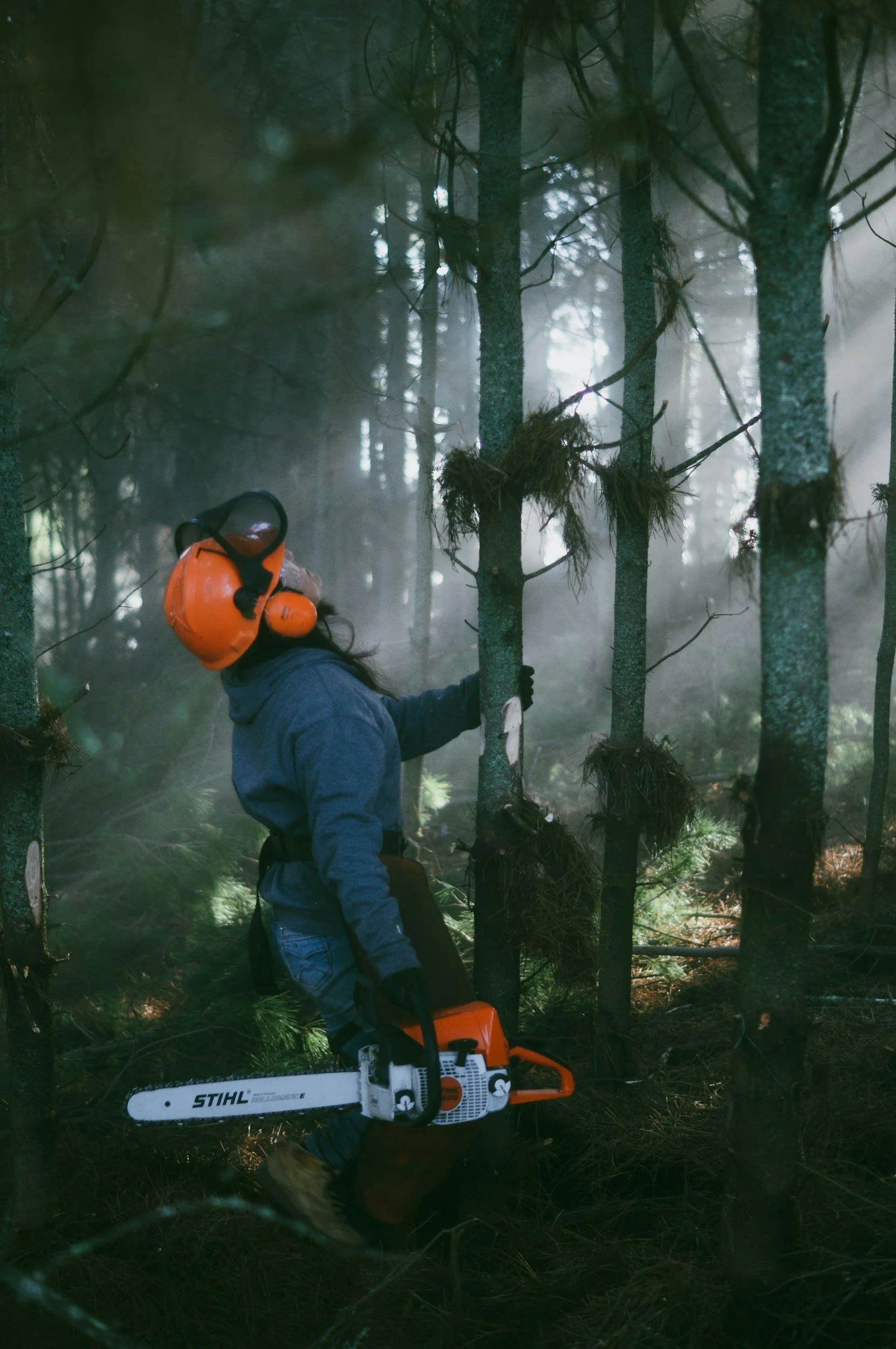 WIDE Trust Awards $231,500 in Grants to Support New Zealand Students Pursuing Forestry and Wood‑Related Studies