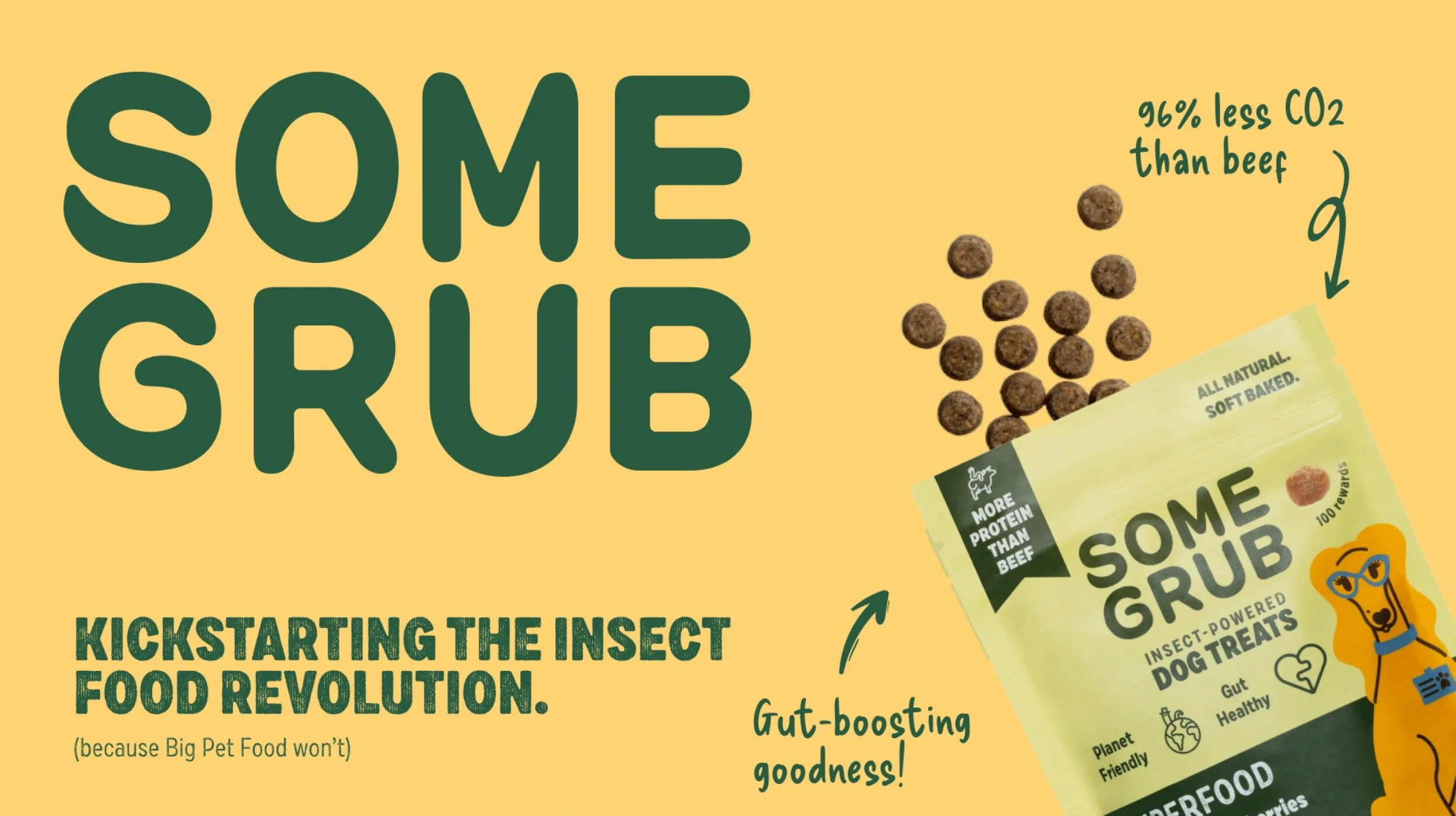 The Insect Revolution Has Four Legs: Why Some Grub Is Shaking Up Pet Food