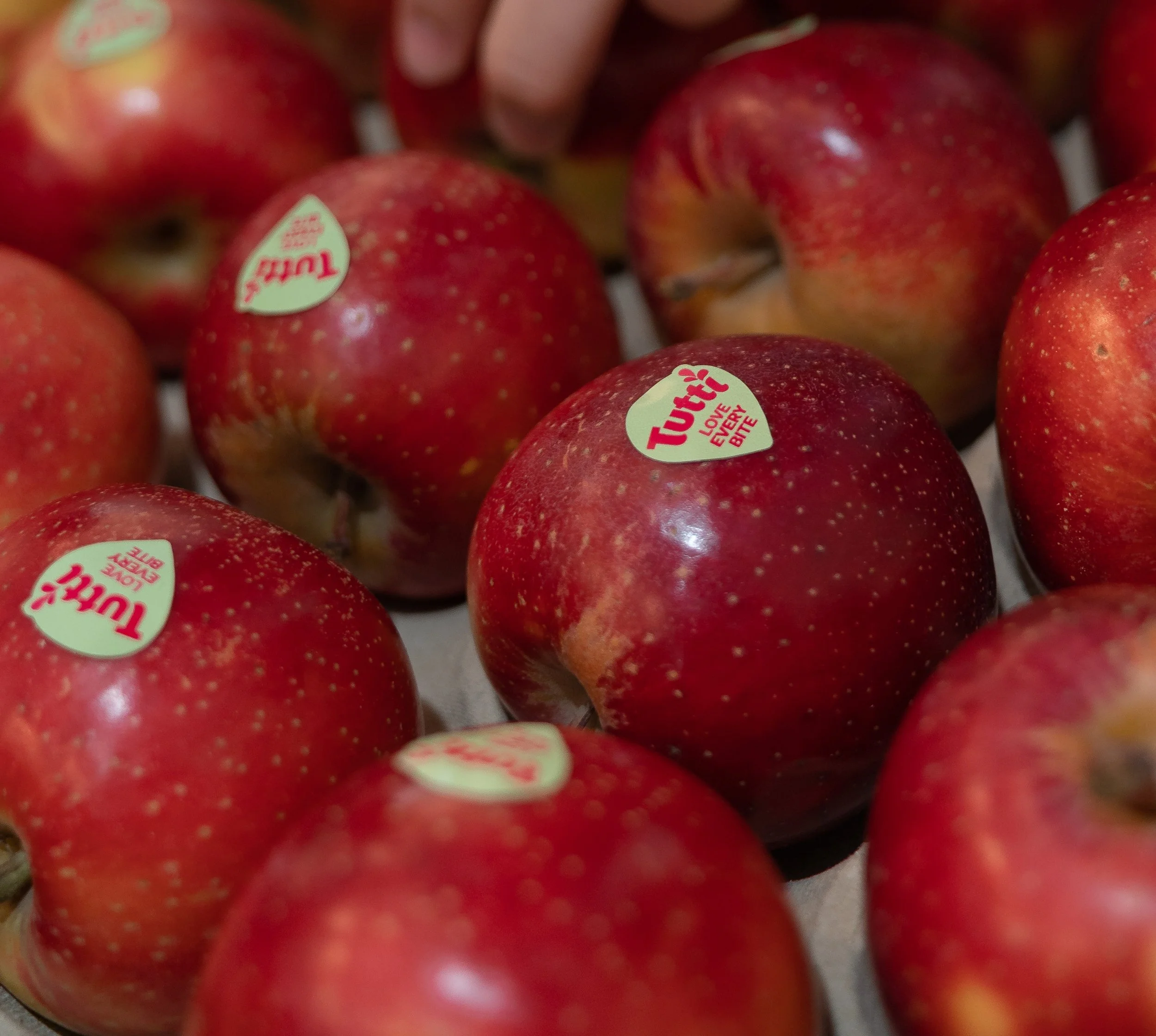 climate-resilient TUTTI™ apple