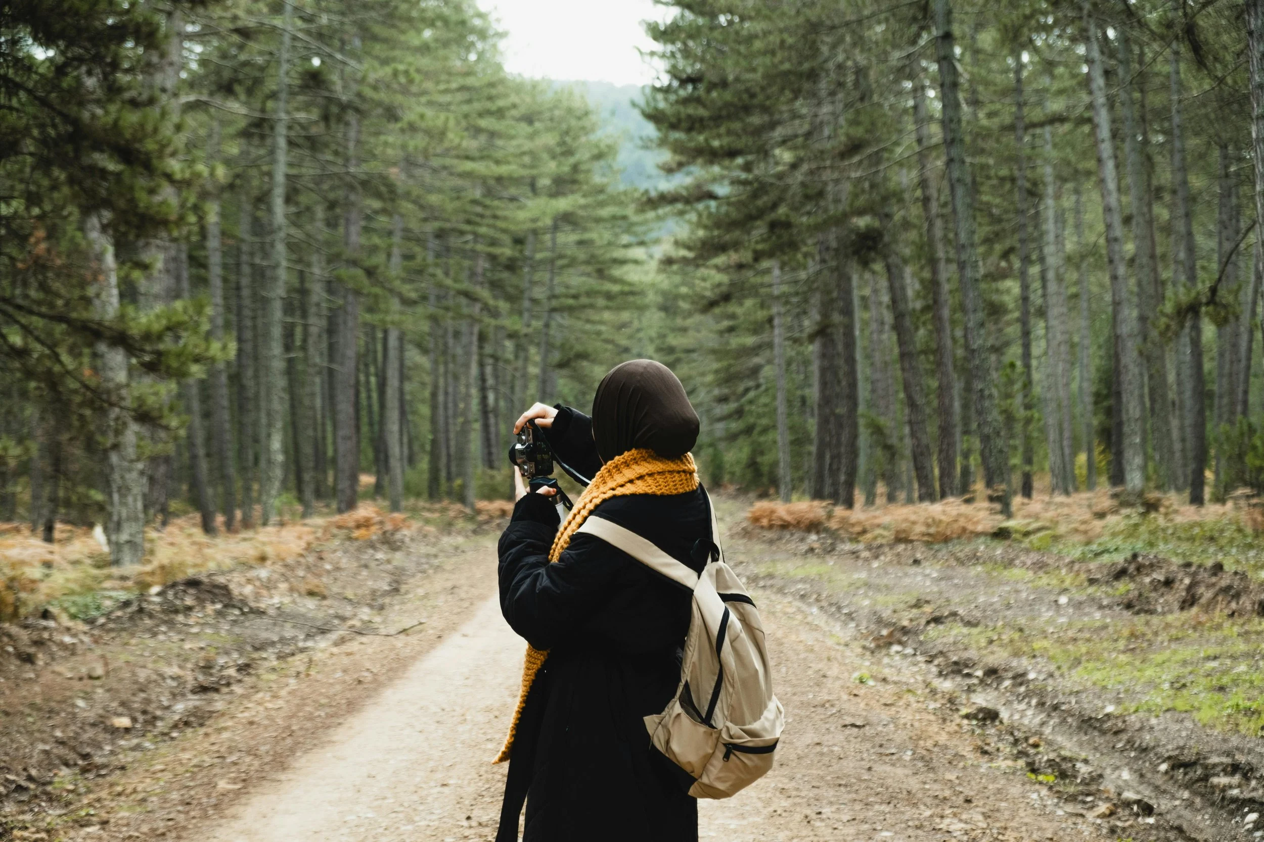 Videographer on a path in a forest