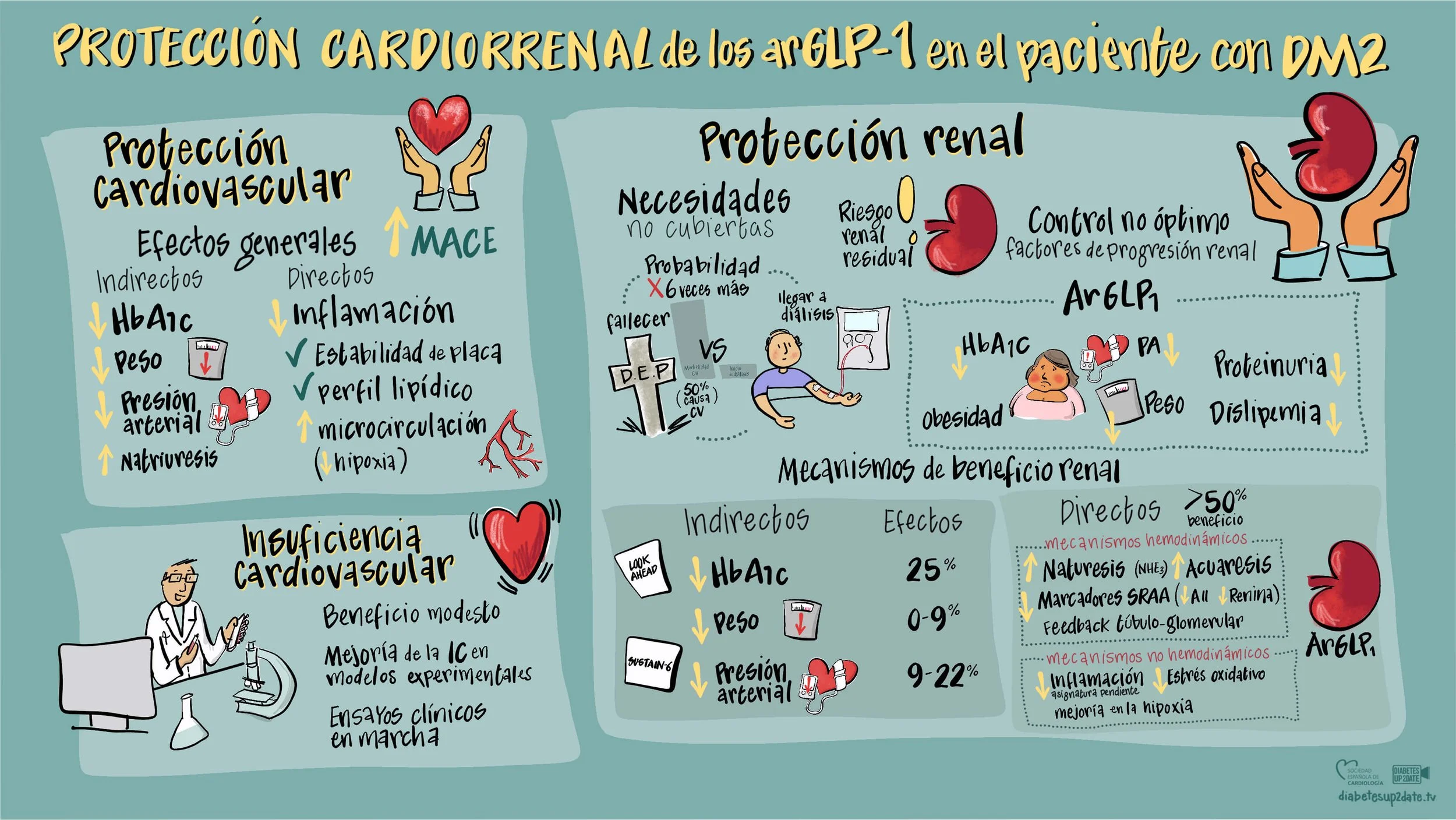 cardiorenal protection arGLP-1 patient T2D rich picture verity ink.jpg