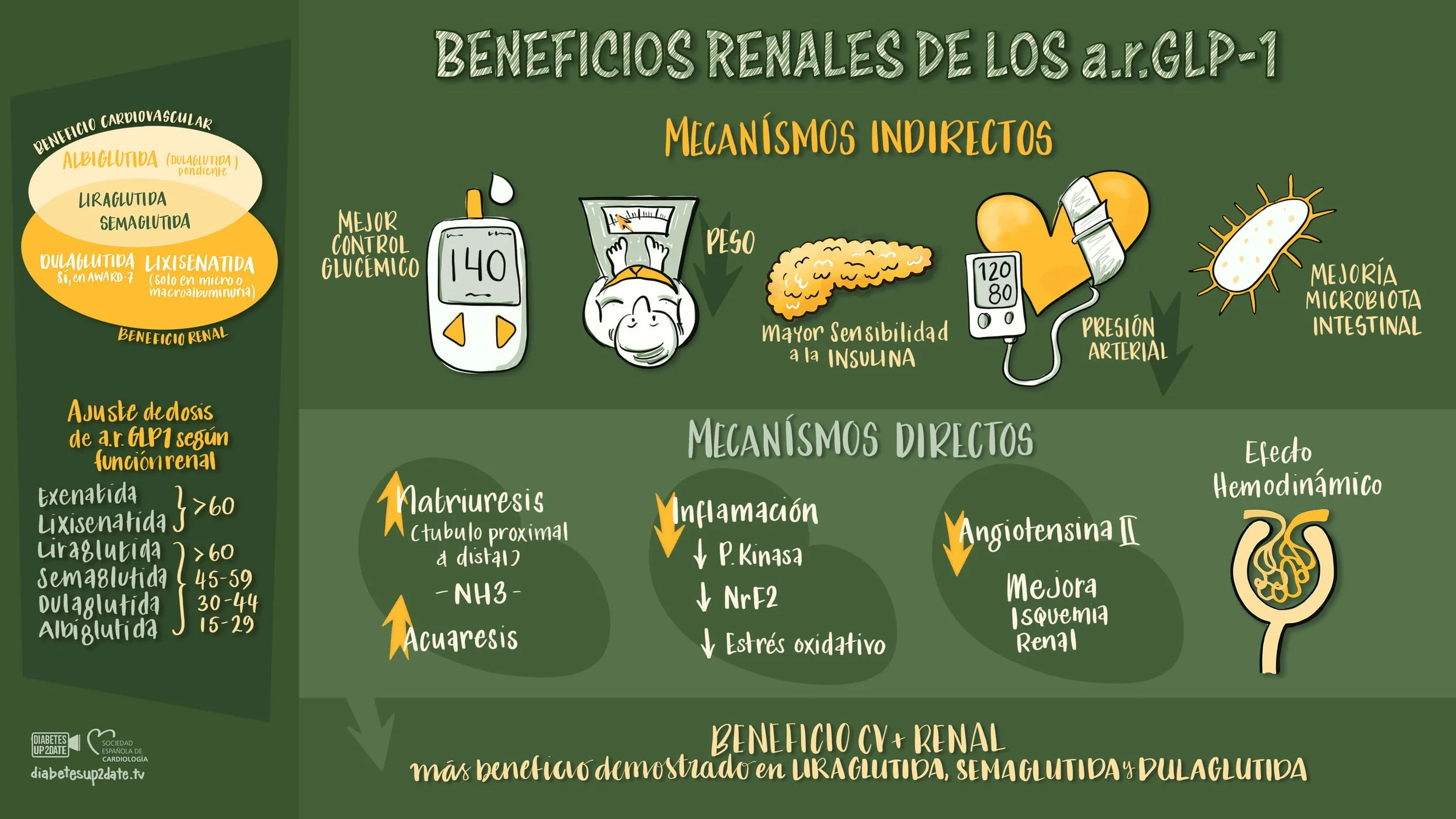 beneficios renales arGLP-1 rich picture verity ink.jpg
