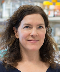 A woman with shoulder-length, wavy brown hair wearing a dark navy top, facing the camera with a gentle smile in an indoor setting with shelves and laboratory or office equipment in the background.