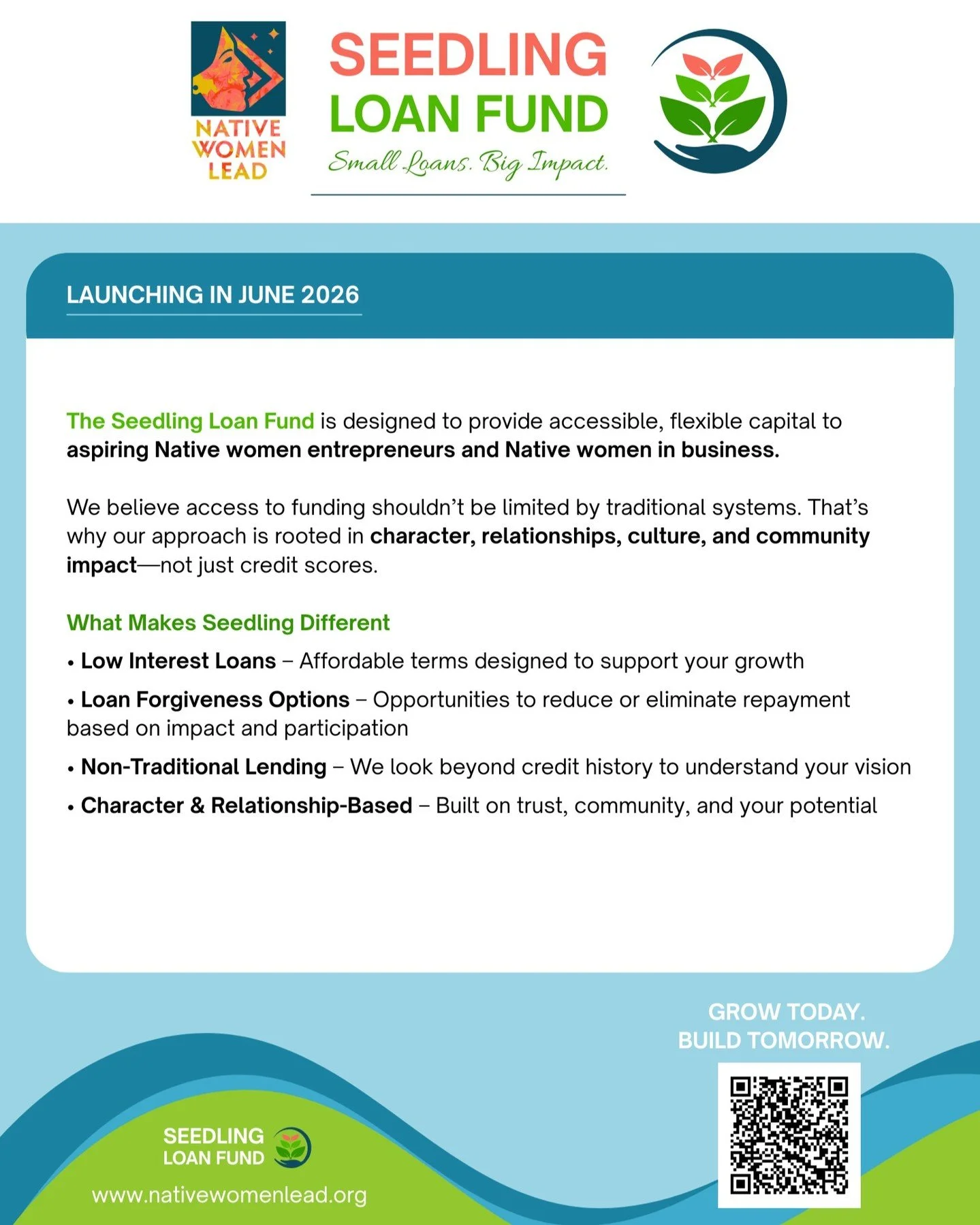 The Seedling Loan Fund was created to extend opportunities for aspiring Native women entrepreneurs and Native women in business across Turtle Island by providing accessible, flexible capital rooted in community, culture, and connection.

Unlike tradi