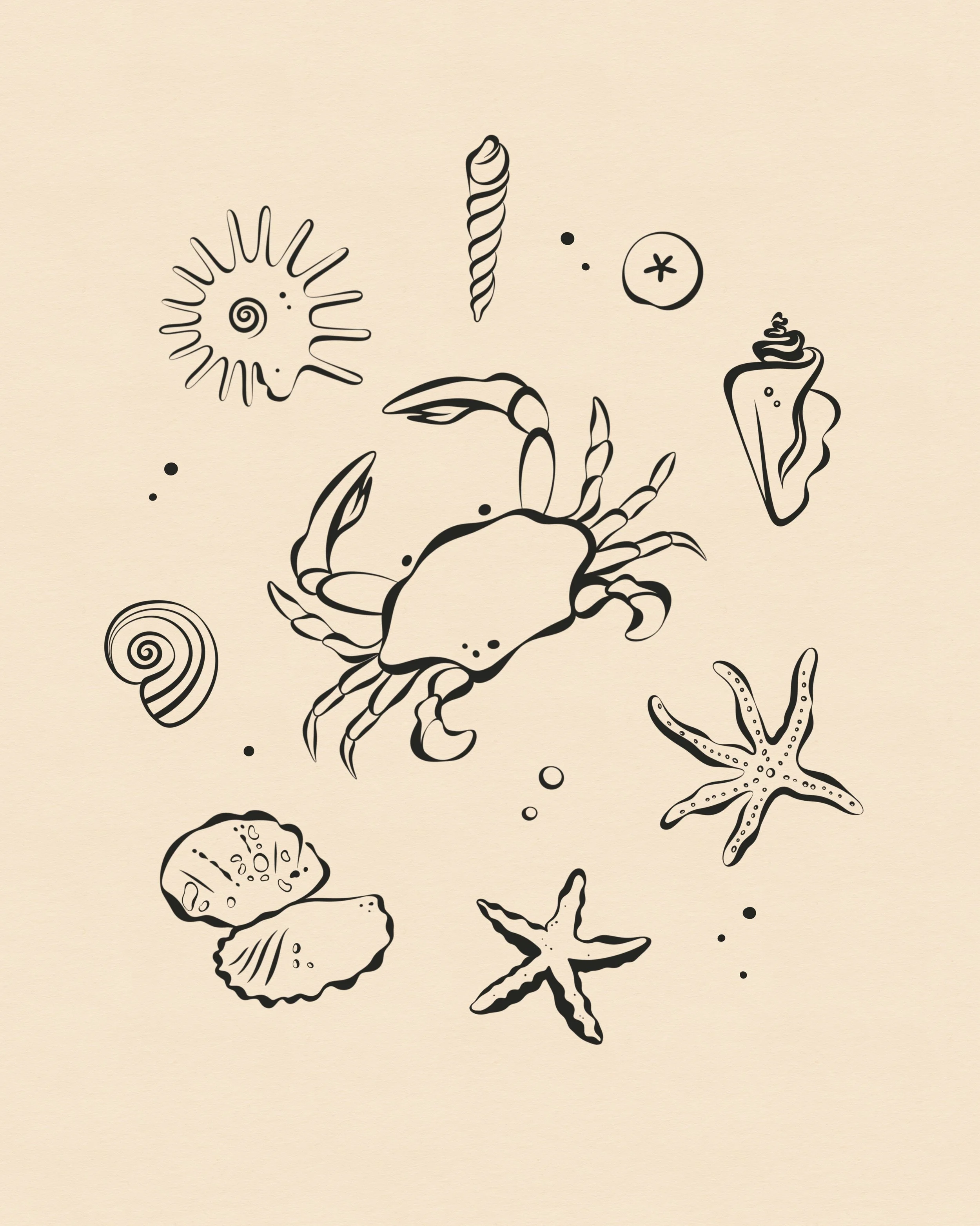 Found on the Beach | 2025