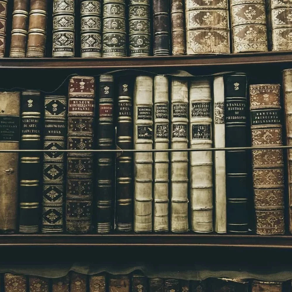 Dark, serious-looking books | Aesthetic vs. world-building