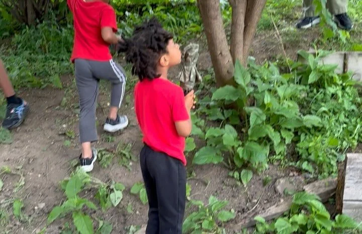 Join us THIS Saturday September, 20th for our Kids Garden 4H club! 

We will be learning about Harvest season here in Wisconsin. 🍁🌾🌽

All kiddos and families are welcome to join! Swipe for more details! ➡️