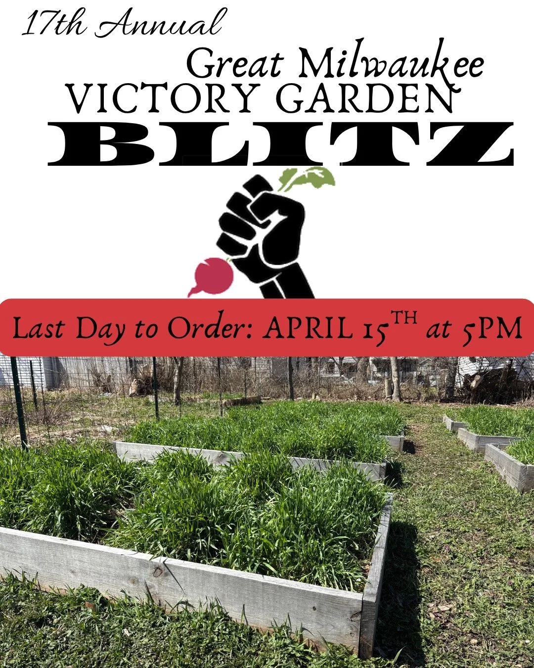 Blitz raised garden bed ordering closes in just under a week!! Order your bed from our website to receive a 32 square foot raised garden bed from VGI and watch as volunteers assemble your raised bed during the Blitz Event, April 25th-May 9th🌻 Link t
