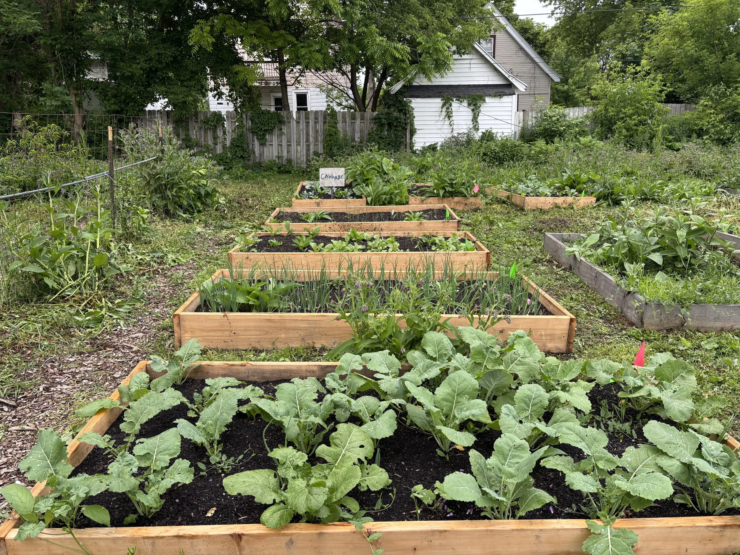 Move Grass Class: Maintain a Healthy Garden