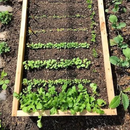 Move Grass Class: Mastering Succession Planting