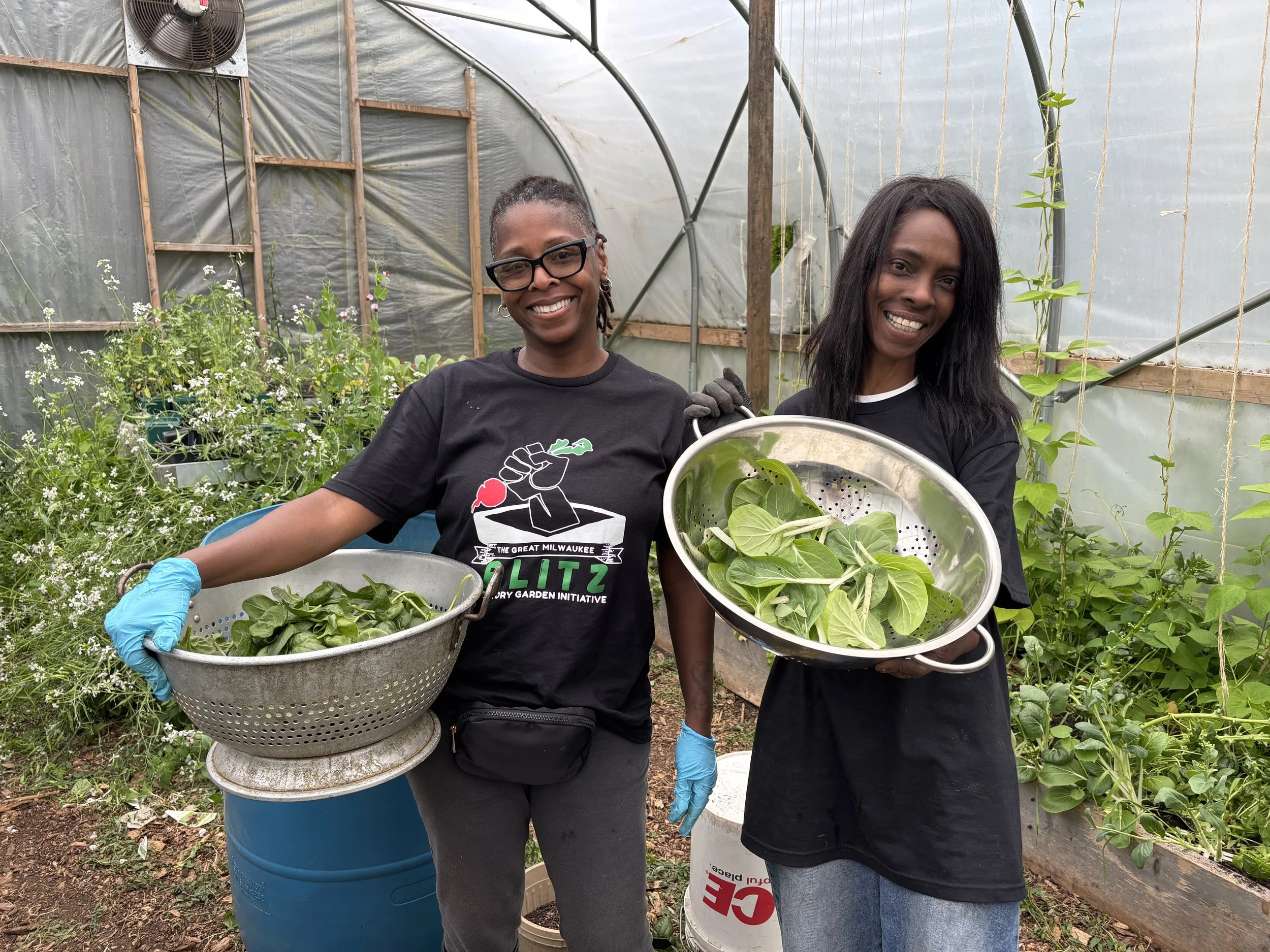 Move Grass Class: Extending the Harvest