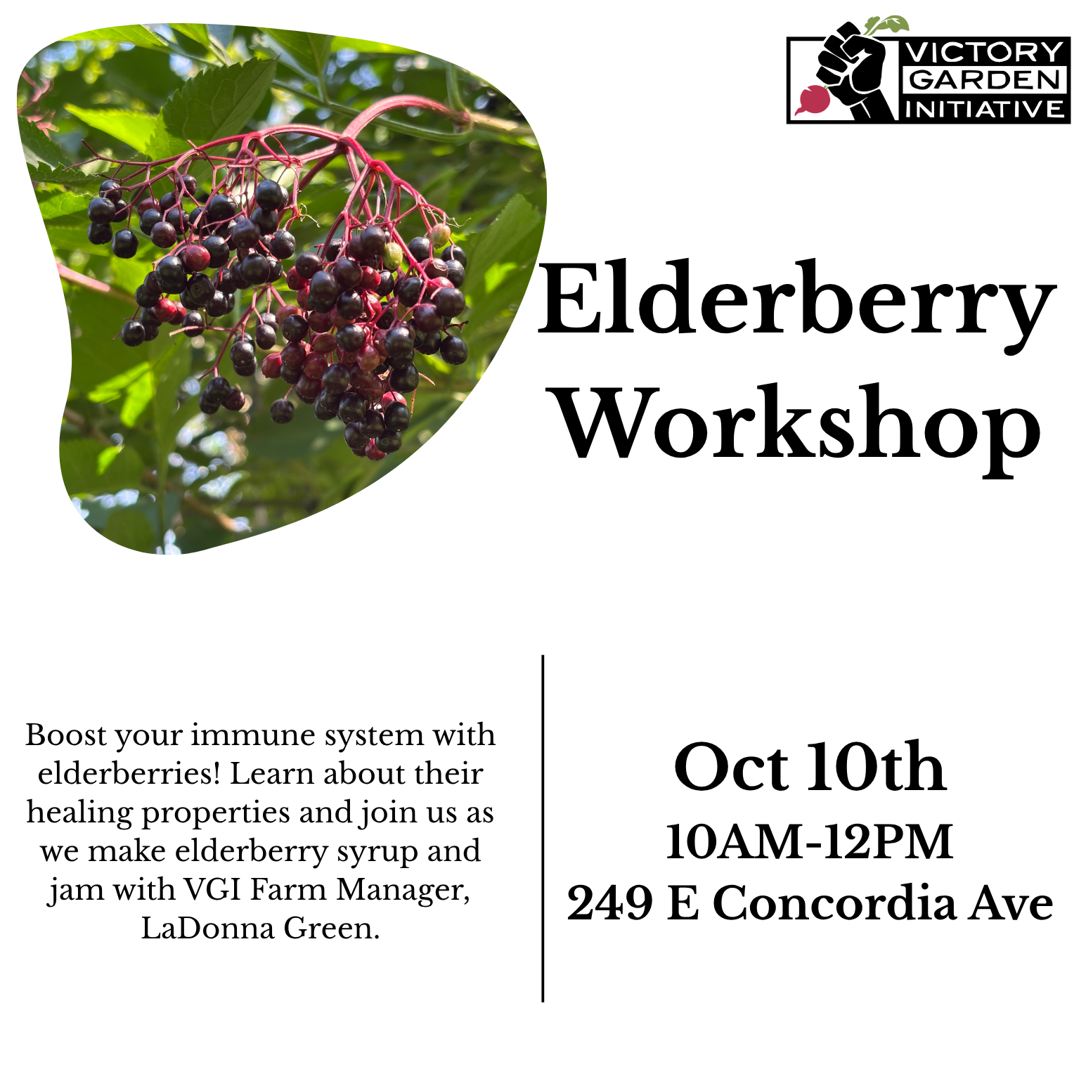 Elderberry Workshop