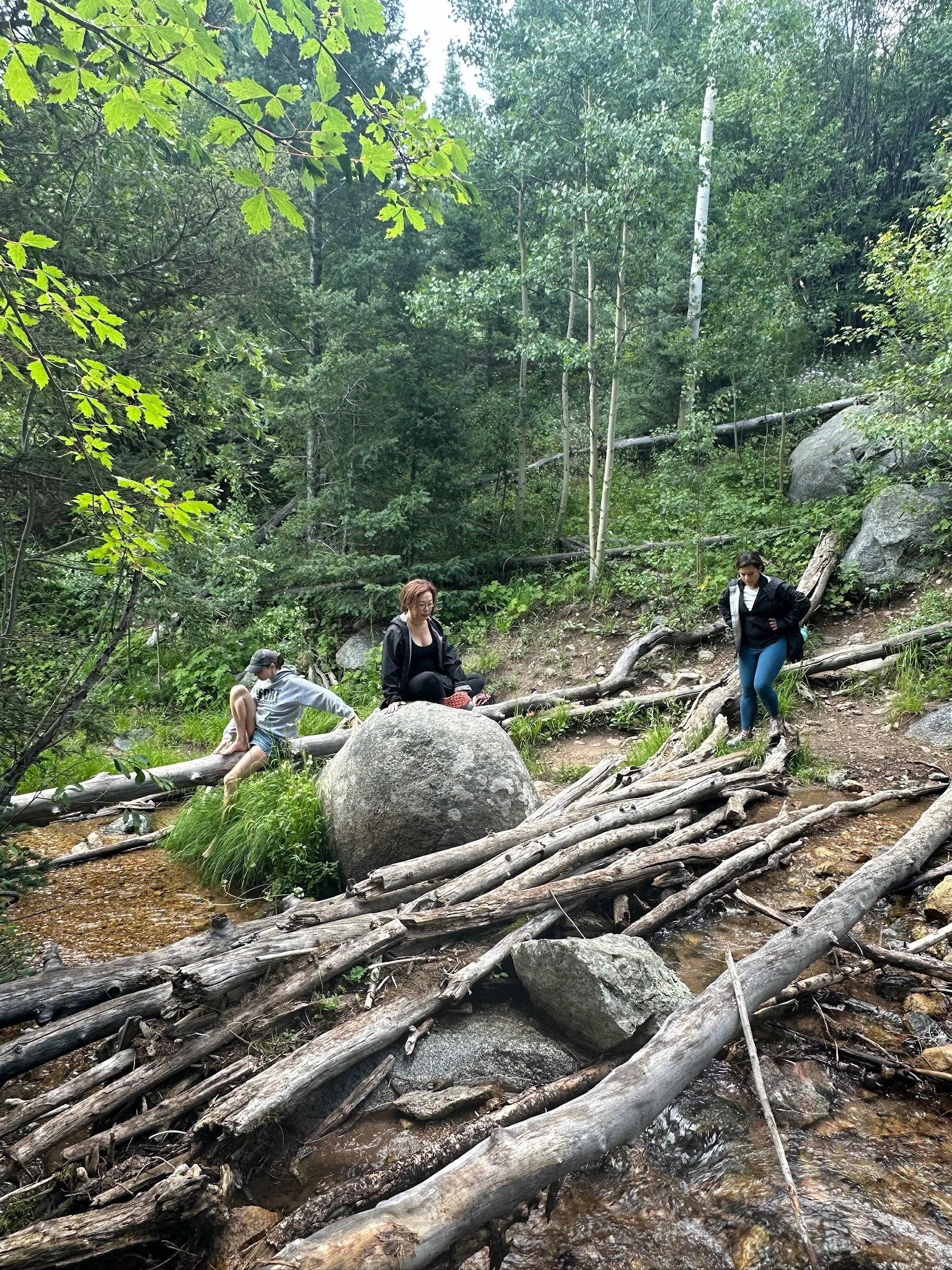 People exploring a forest trail near a small stream with rocks and logs, surrounded by green trees.