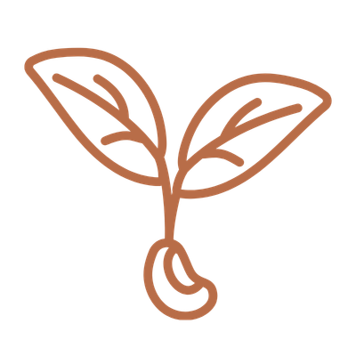Line drawing of a sprouting plant with two leaves and a root.