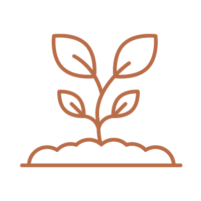 Illustration of a young plant with three leaves growing from the soil.