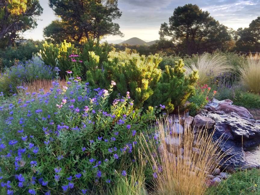 A lush garden with various purple, pink, and green plants, rocks, a small pond, and trees in the background. The scene is illuminated by sunlight, with a mountain visible in the distance.