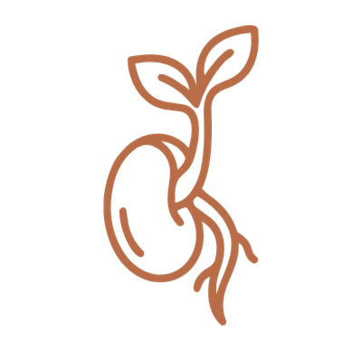 A simple line drawing of a sprouting seed with roots and leaves.