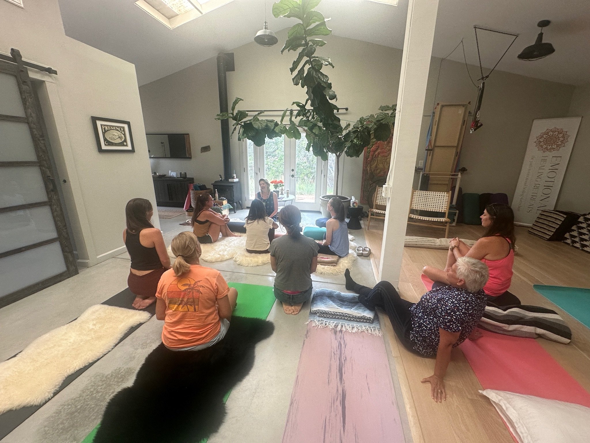People sitting on yoga mats in a circle inside a living room, engaging in an indoor group activity, with a woman leading the session. The room has large windows and a tall indoor plant.