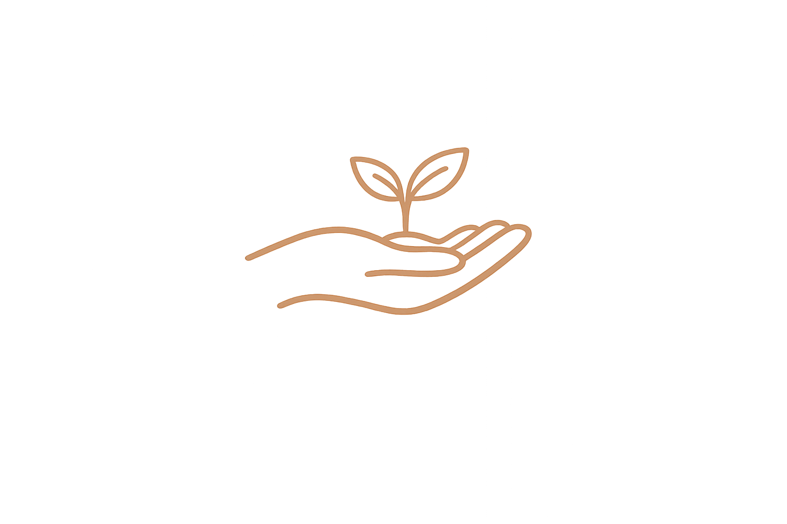Line drawing of a hand holding a small plant with two leaves.