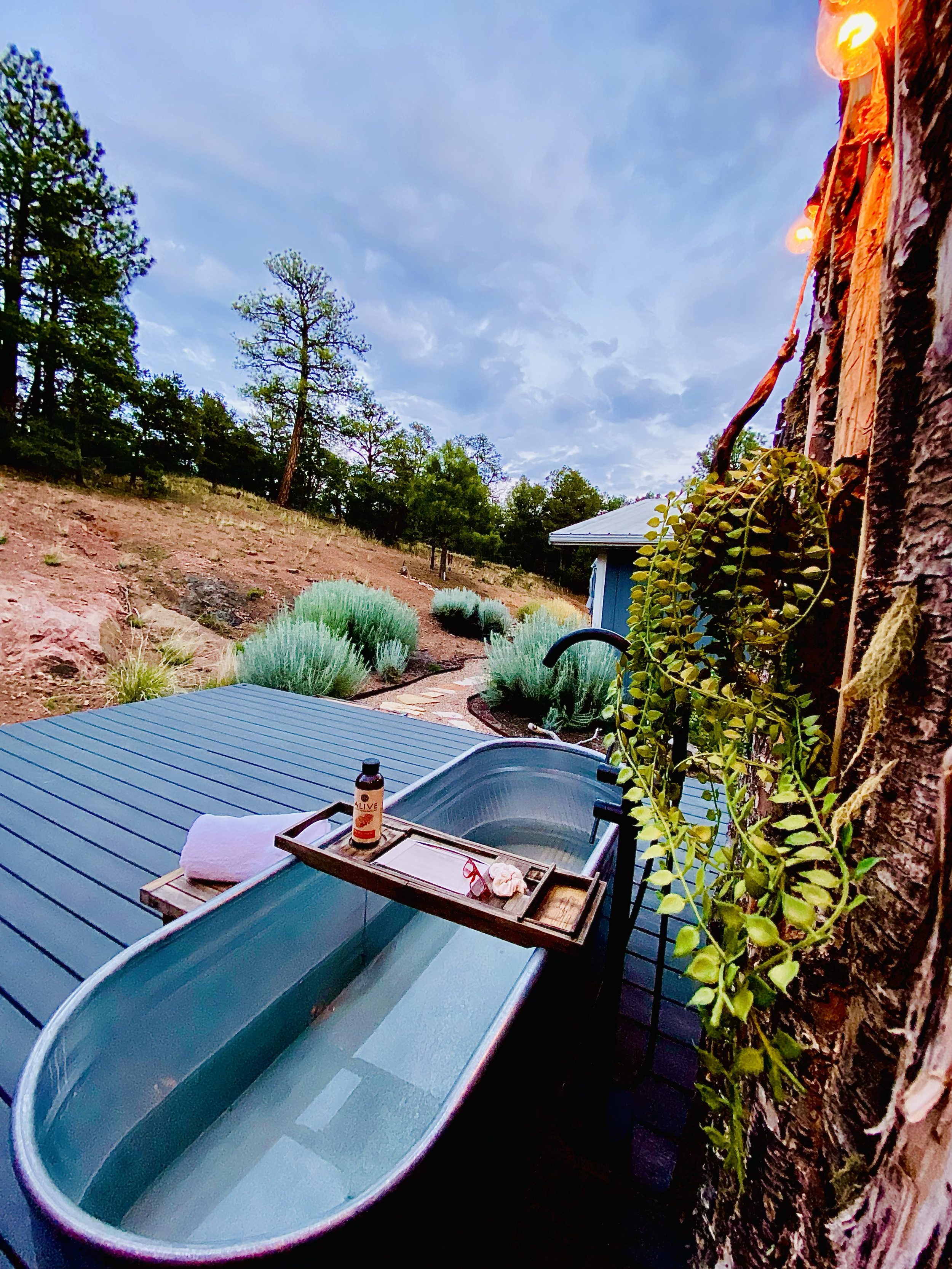 Outdoor scene with a hot tub, a small basin with a tray and a towel, plant vines, and trees under a cloudy sky.