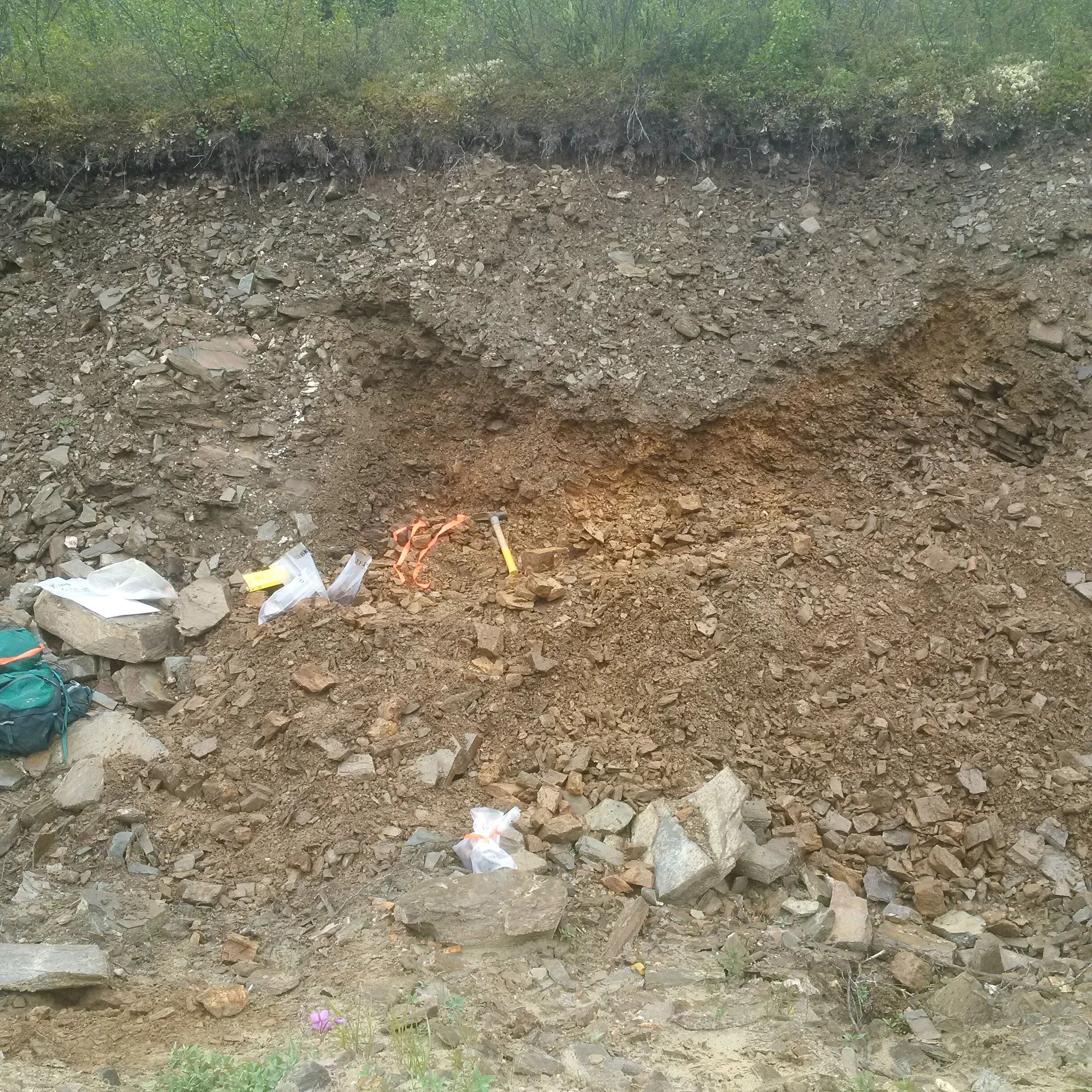  Vein zone in road bank. 