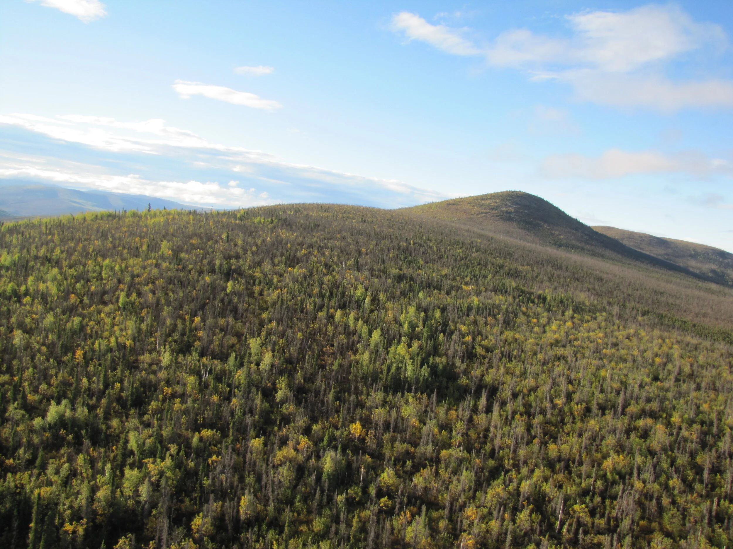 Kestrel Gold Inc. Announces 2017 Rock Sampling Results of up to 100.1 g/t Au from The Clear Creek Property, Tintina Gold Belt, Yukon