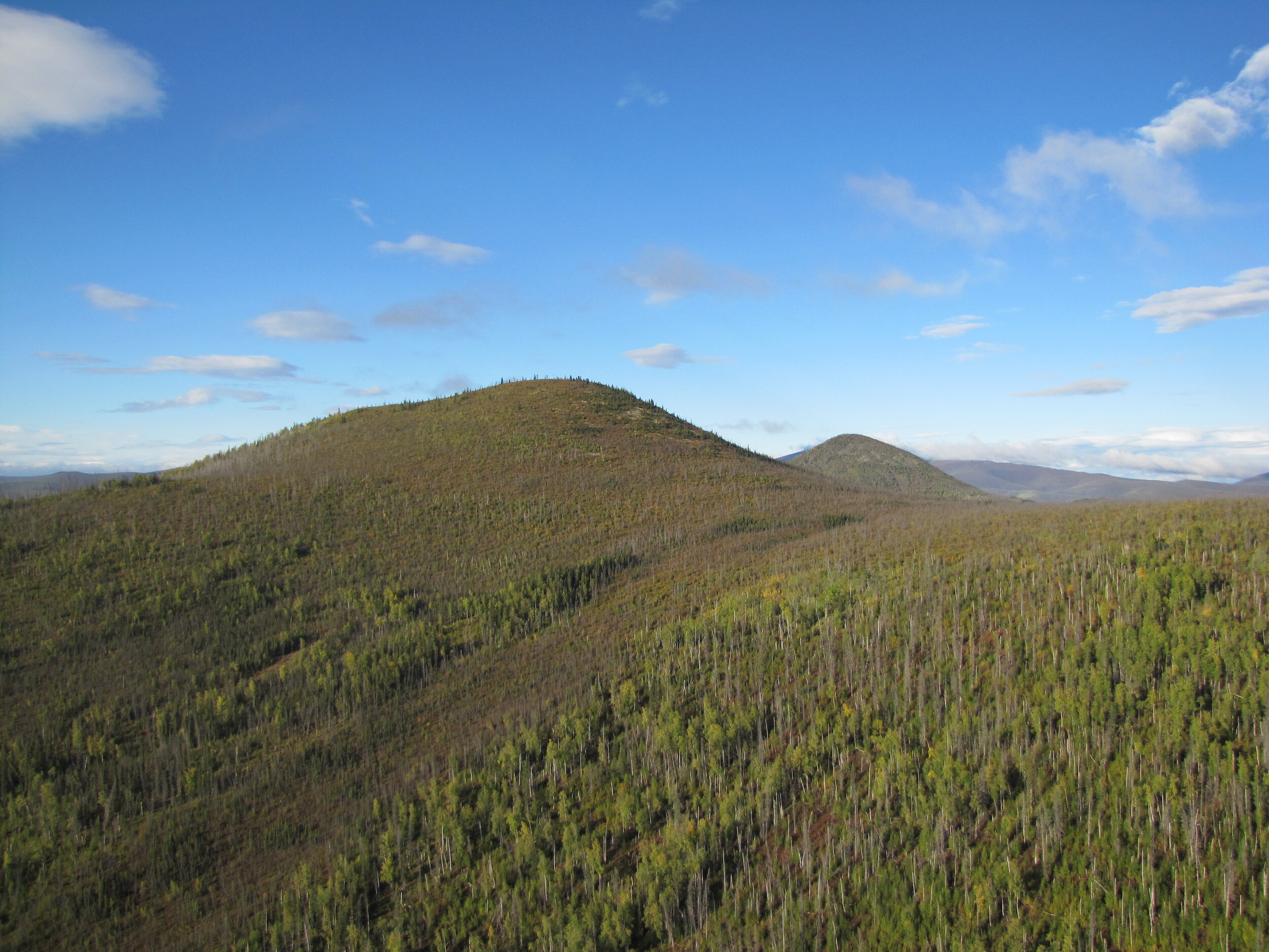 Kestrel Gold Options the Val-Jual Property in the White Gold District, Yukon