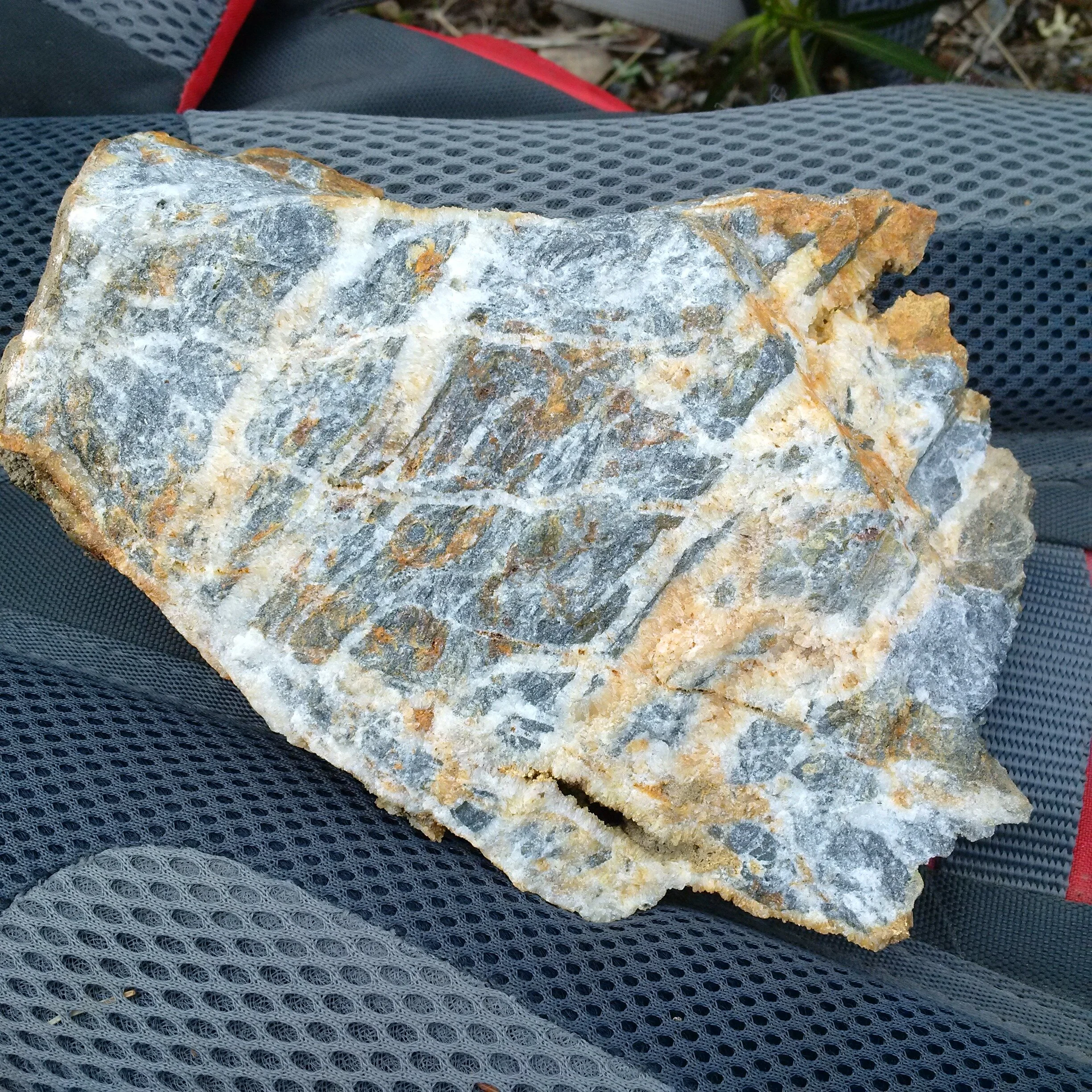2018 Sheeted and vuggy silicicified breccia.jpg