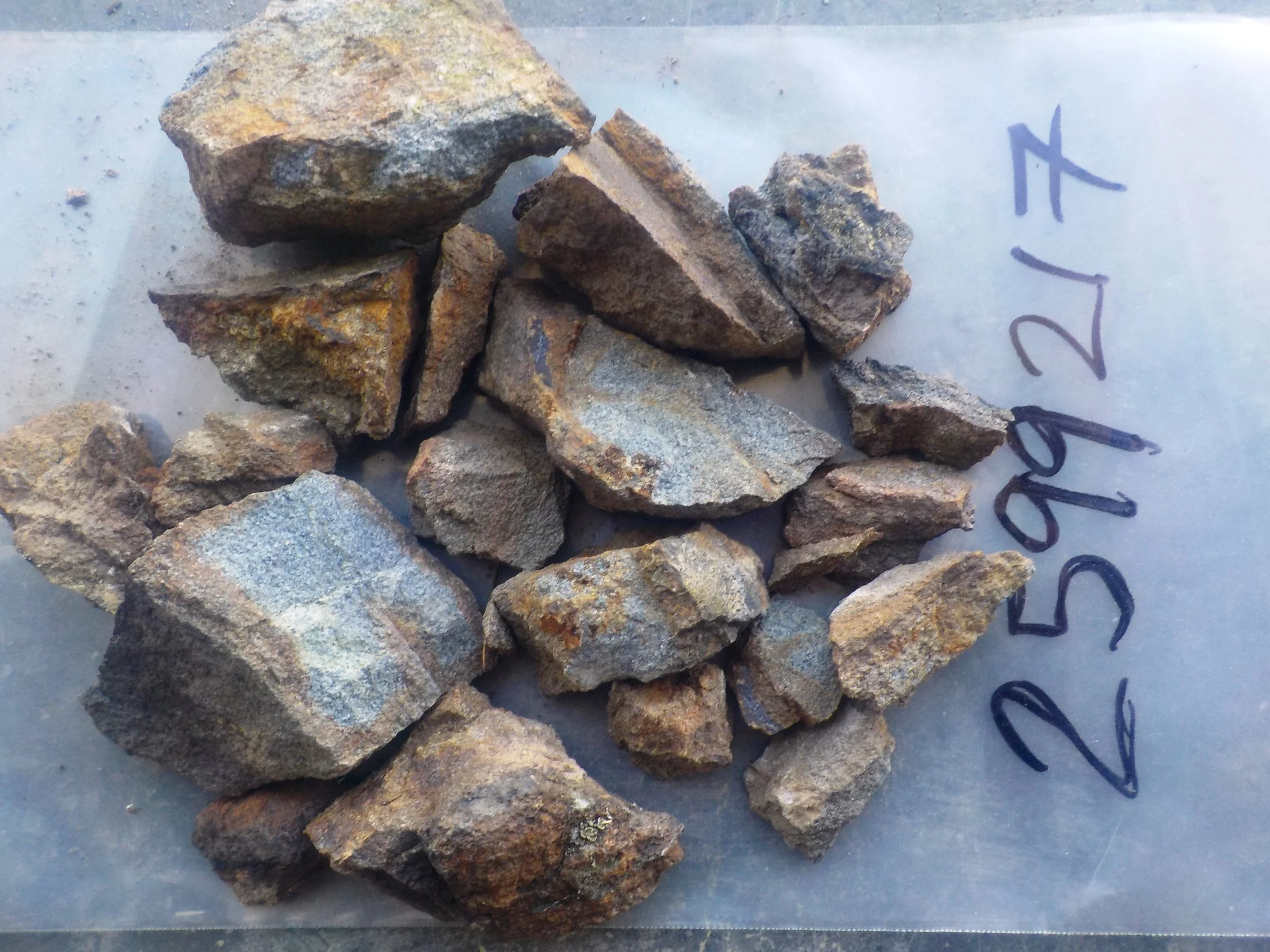 DSCN4465 2599217.JPG