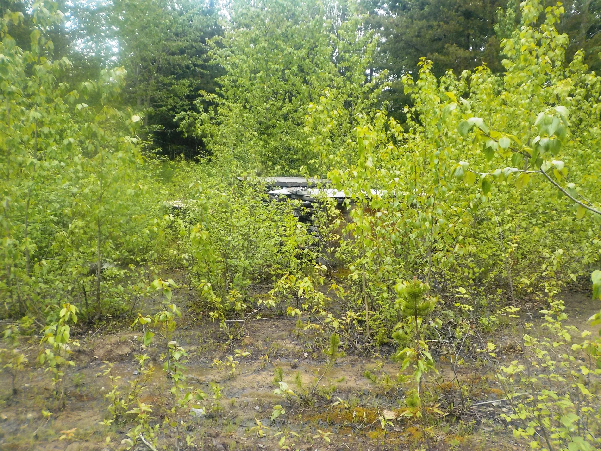 DSCN4412.JPG