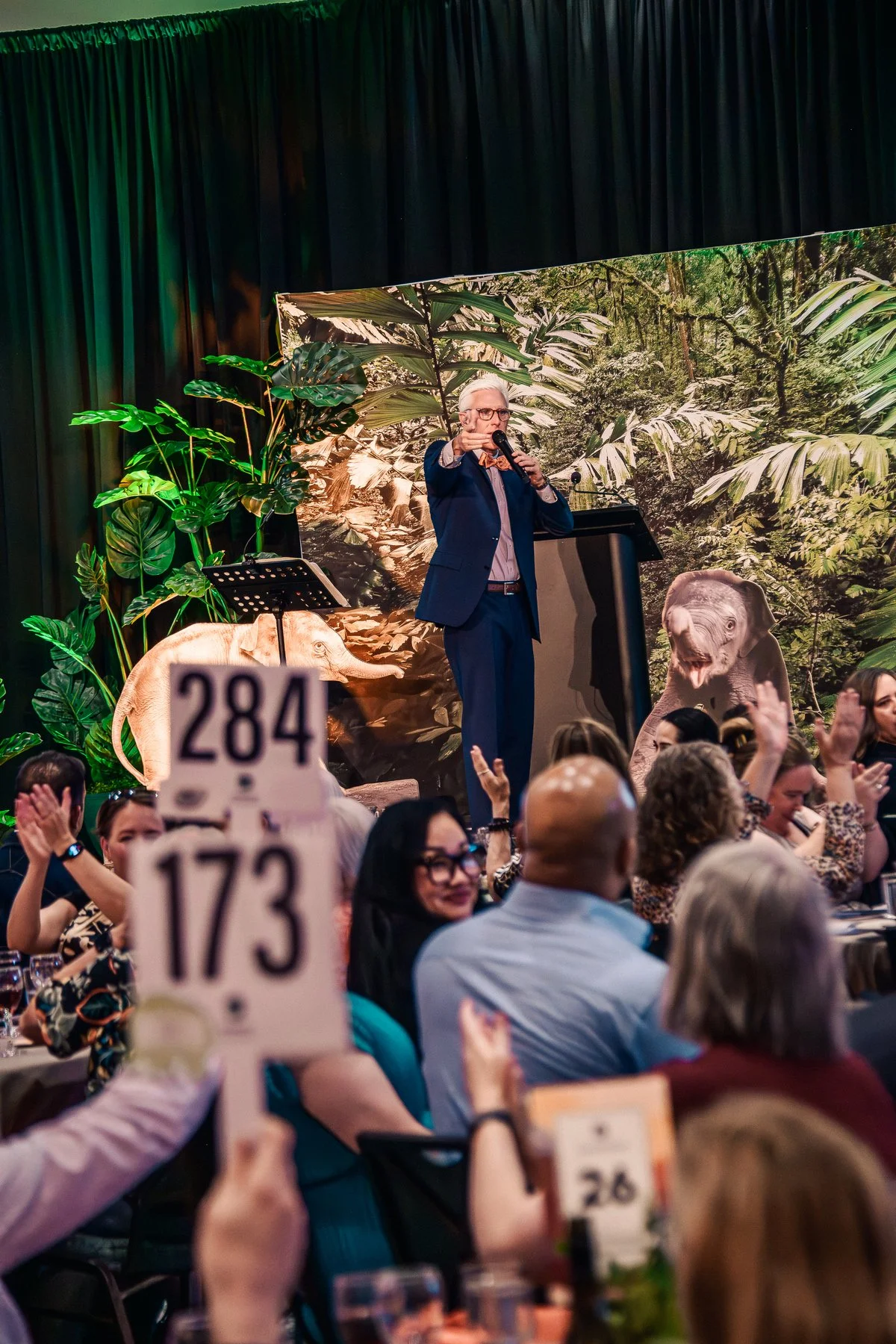 OZF.ZooRendezvous.2025.DeSomer.HR-263.jpg