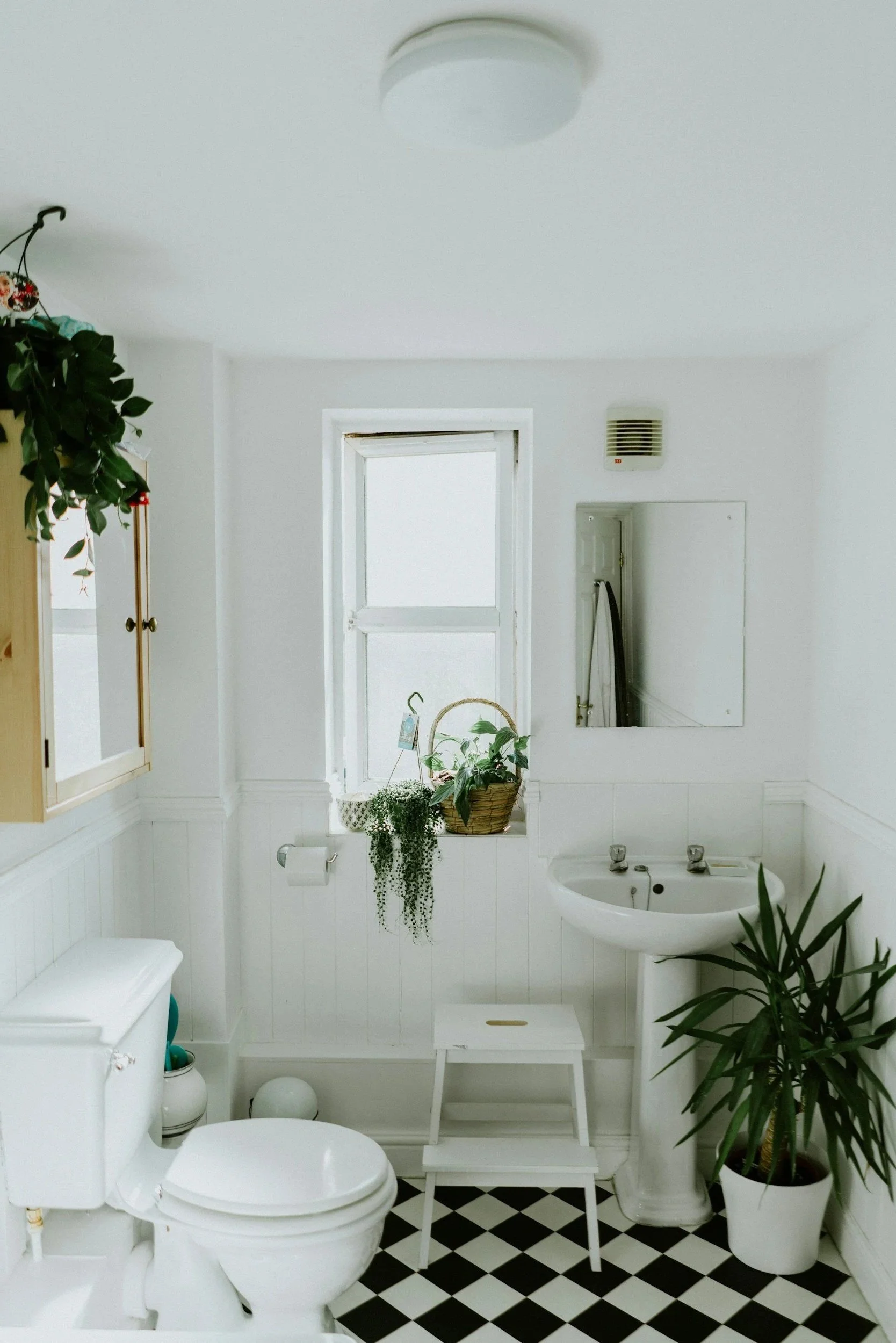 A white bathroom with black and white checkered floor tiles, a toilet, a small white stool, a pedestal sink, a large window, potted plants, a wall mirror, and a ceiling light fixture.