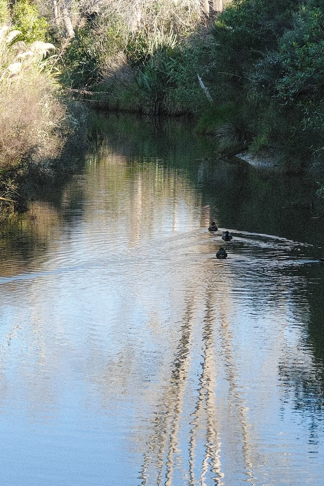 DSCF2266.jpg