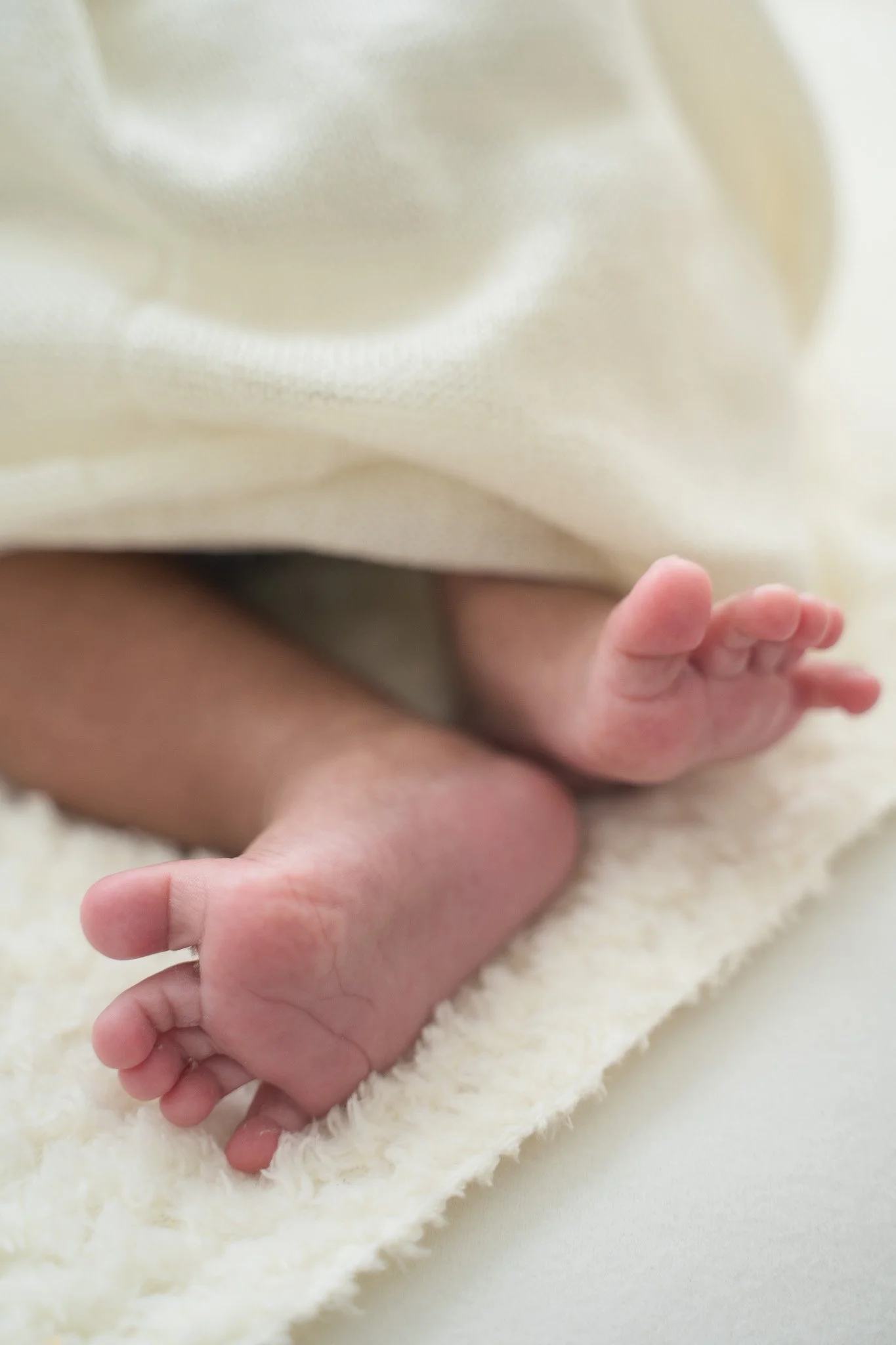 newborn_photography_studio_torbay_north_shore_auckland14