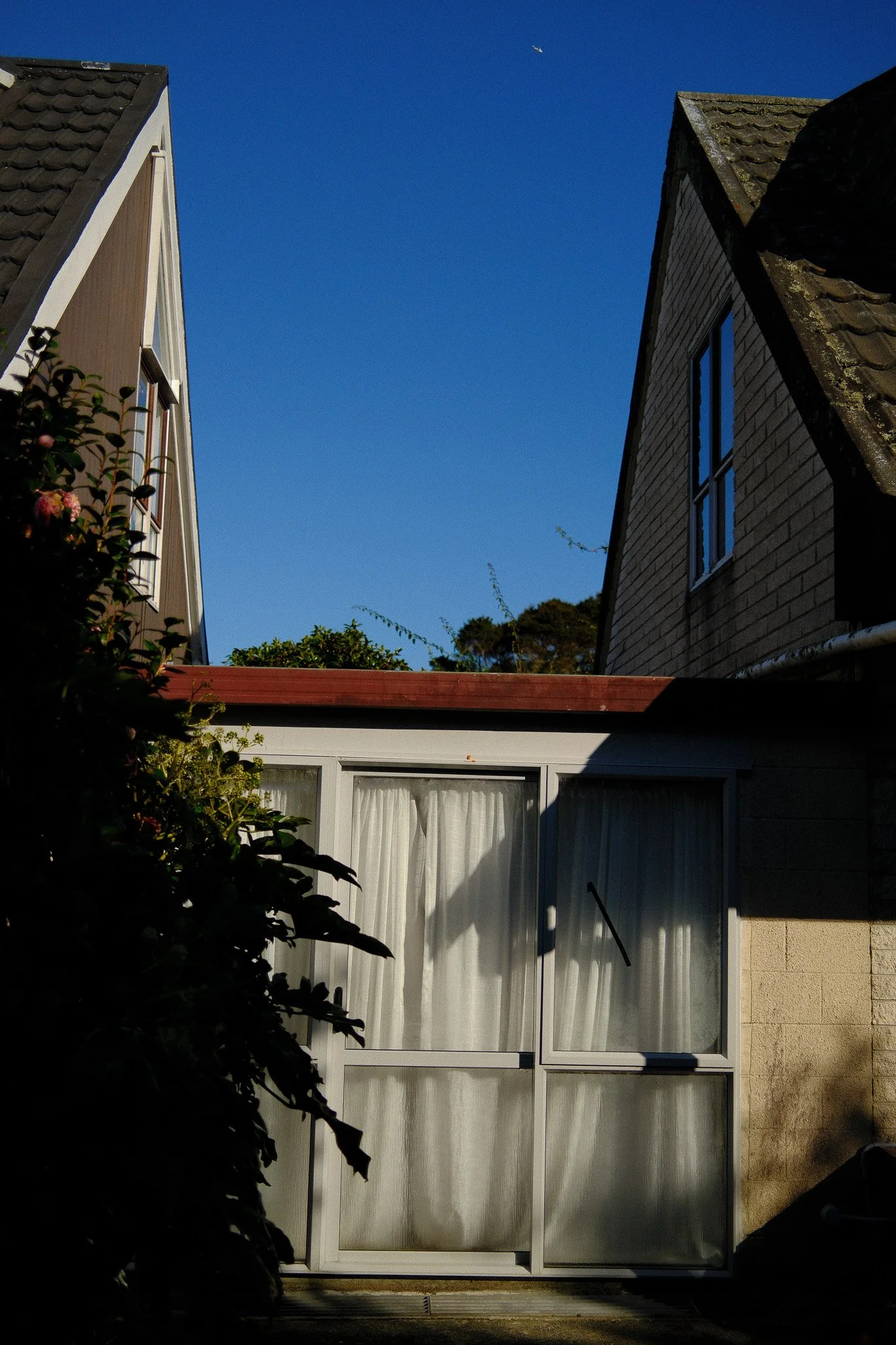 DSCF2149.jpg