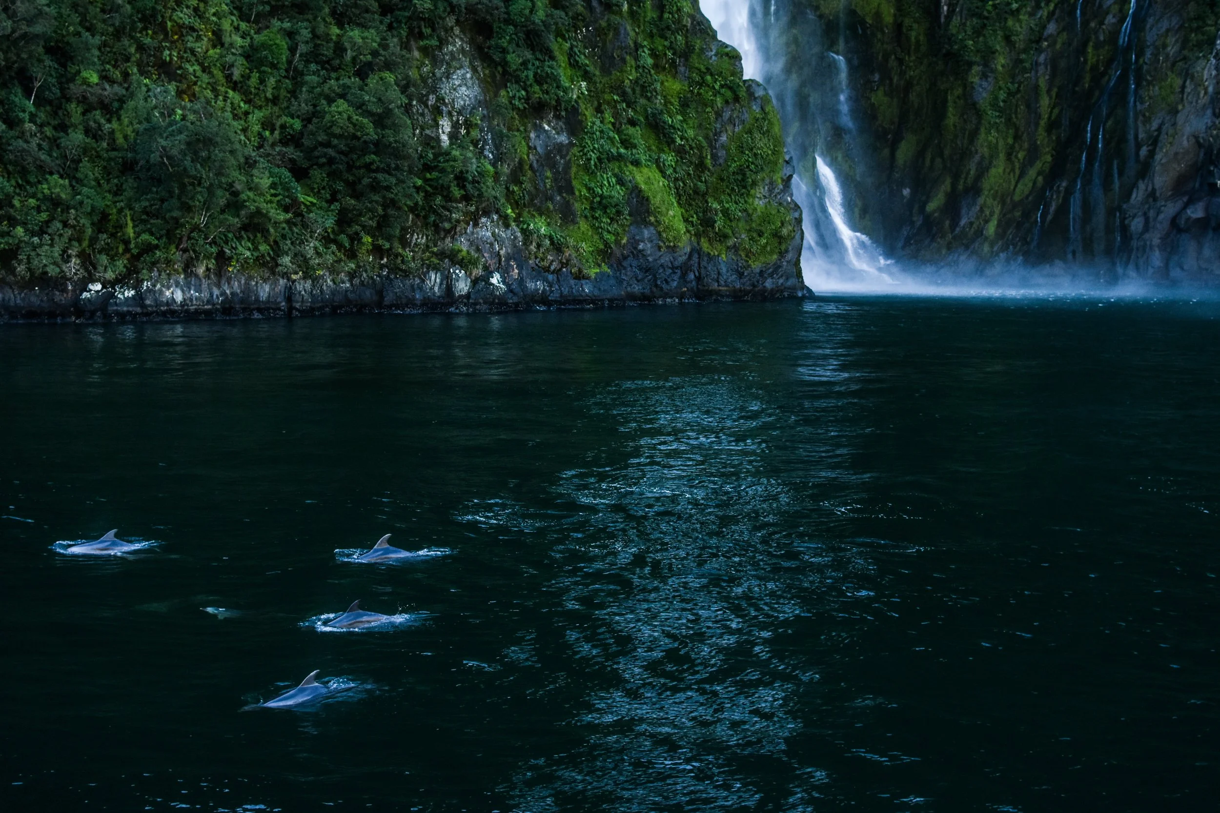 DSC_2788.jpg